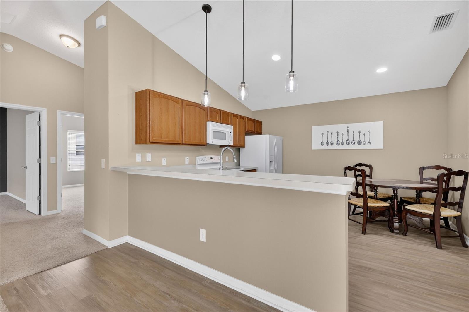 1858 ENDSLEY CT, THE VILLAGES, FL, 32162
