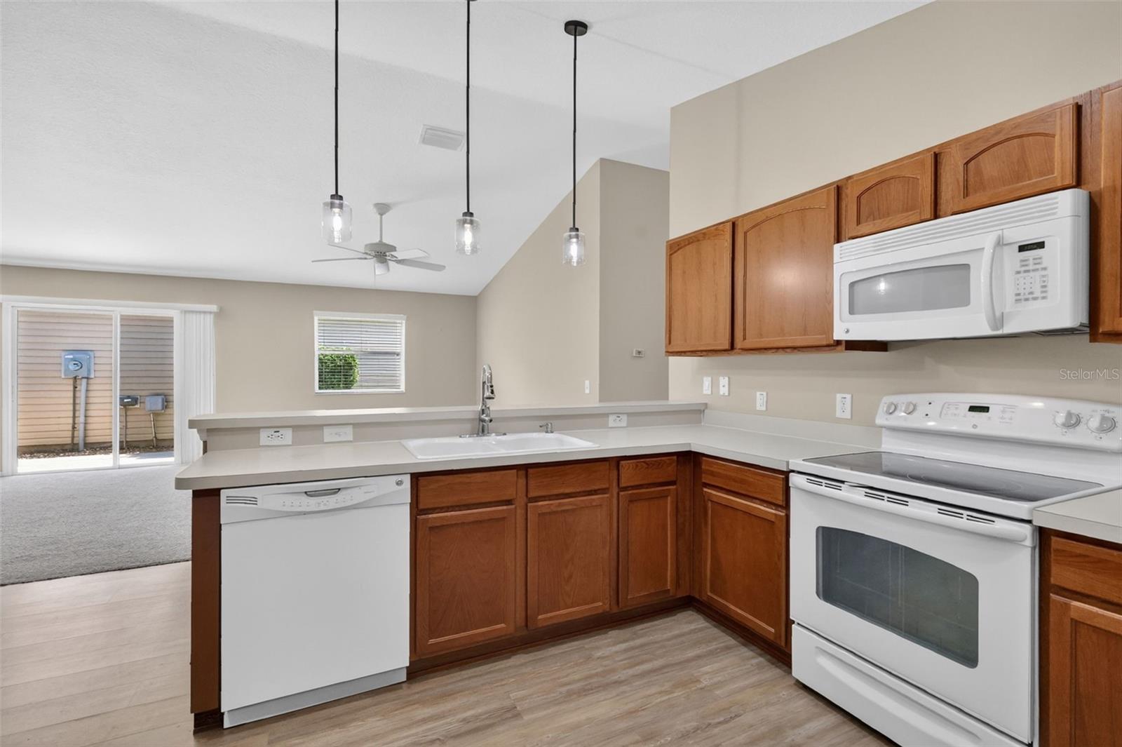 1858 ENDSLEY CT, THE VILLAGES, FL, 32162