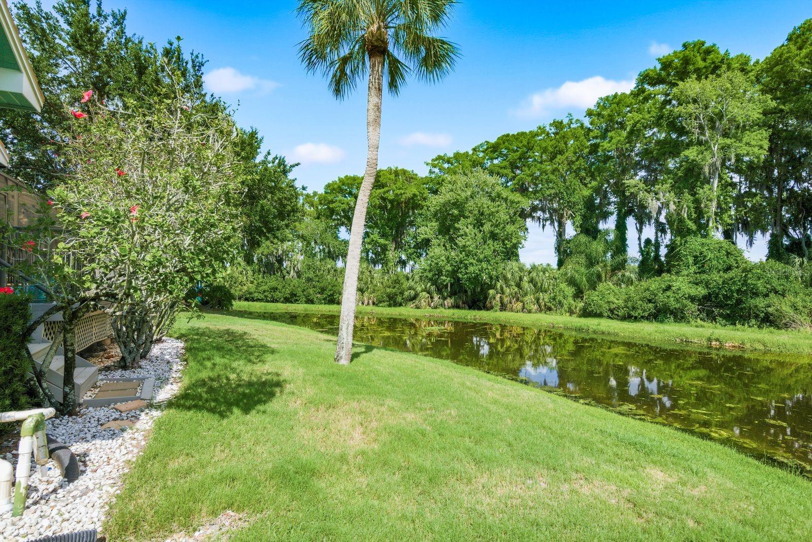 3930 TARIAN CT, PALM HARBOR, FL, 34684