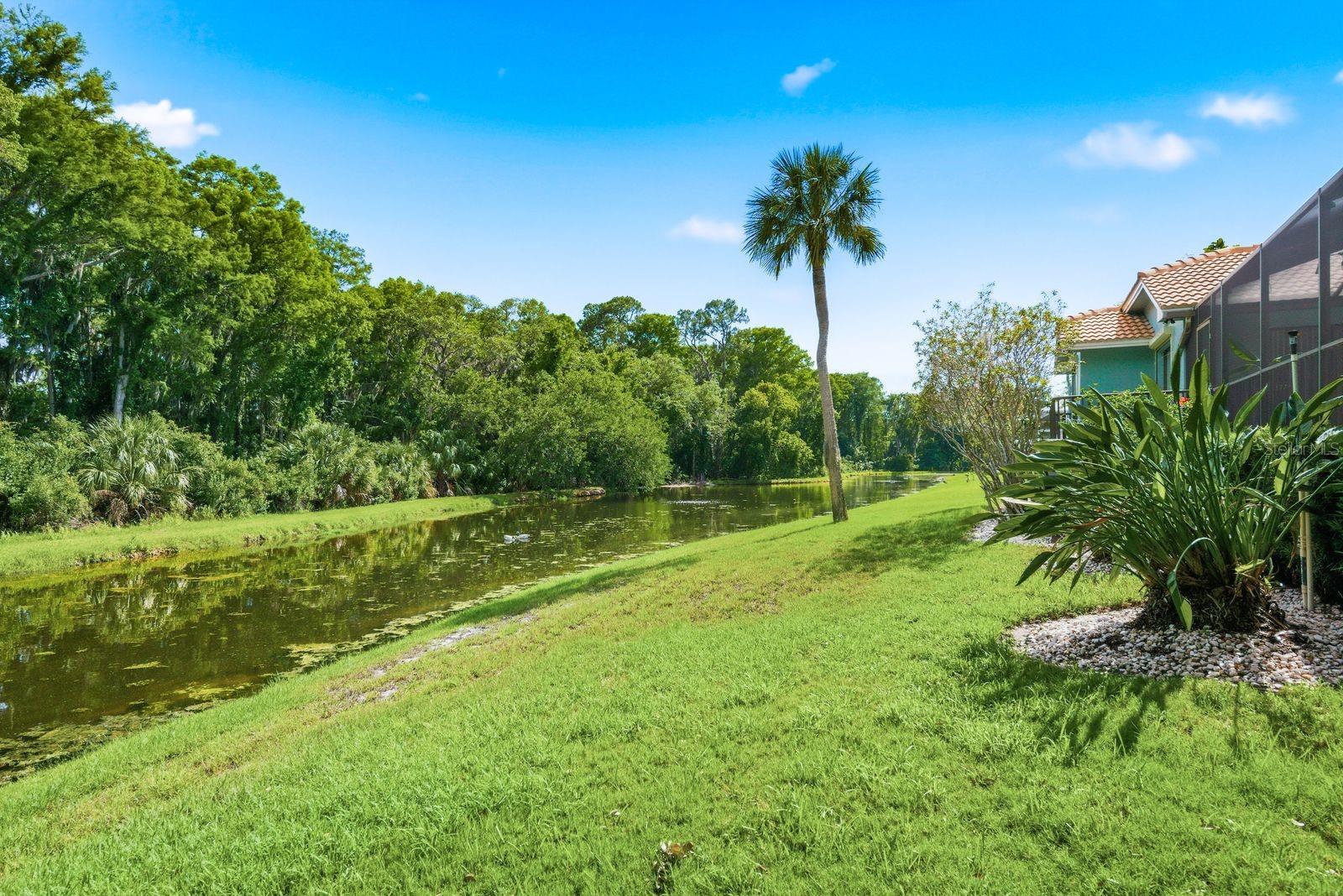 3930 TARIAN CT, PALM HARBOR, FL, 34684