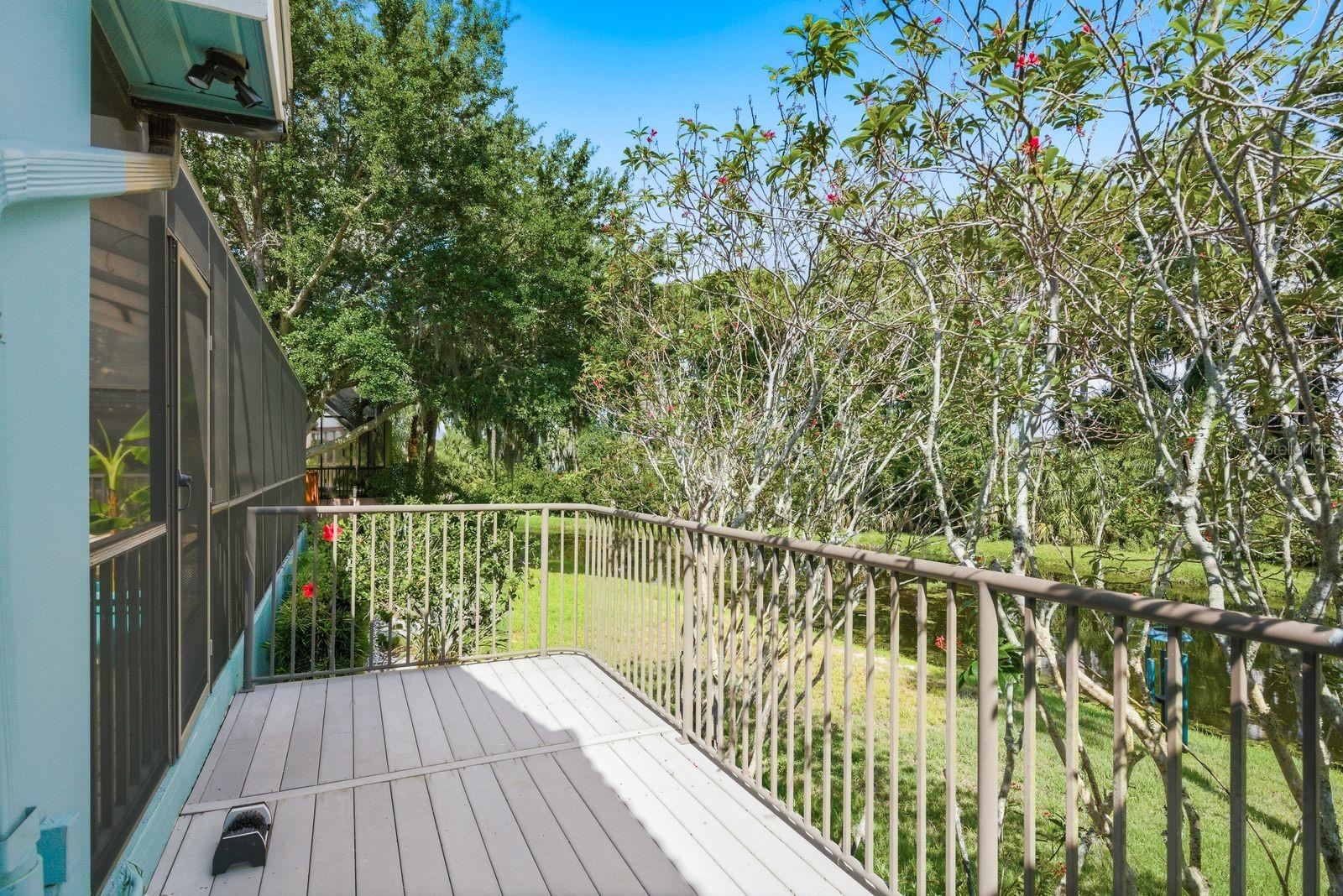 3930 TARIAN CT, PALM HARBOR, FL, 34684