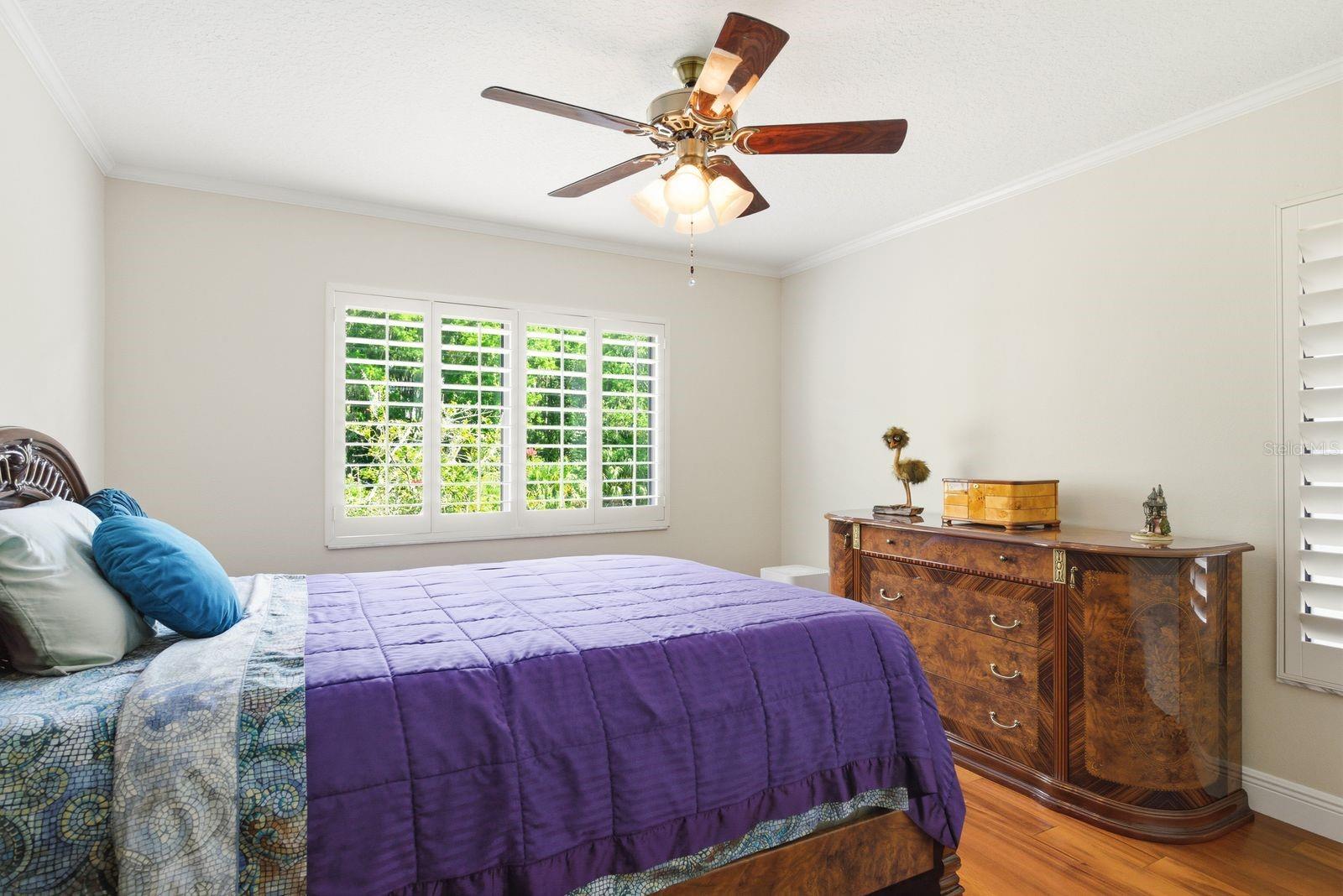 3930 TARIAN CT, PALM HARBOR, FL, 34684