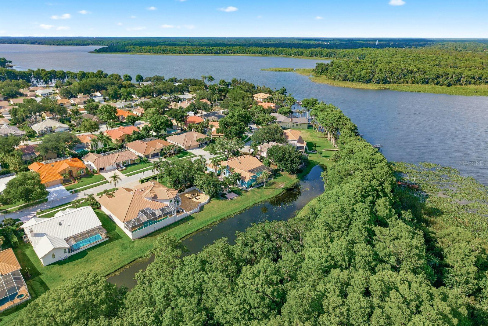 3930 TARIAN CT, PALM HARBOR, FL, 34684