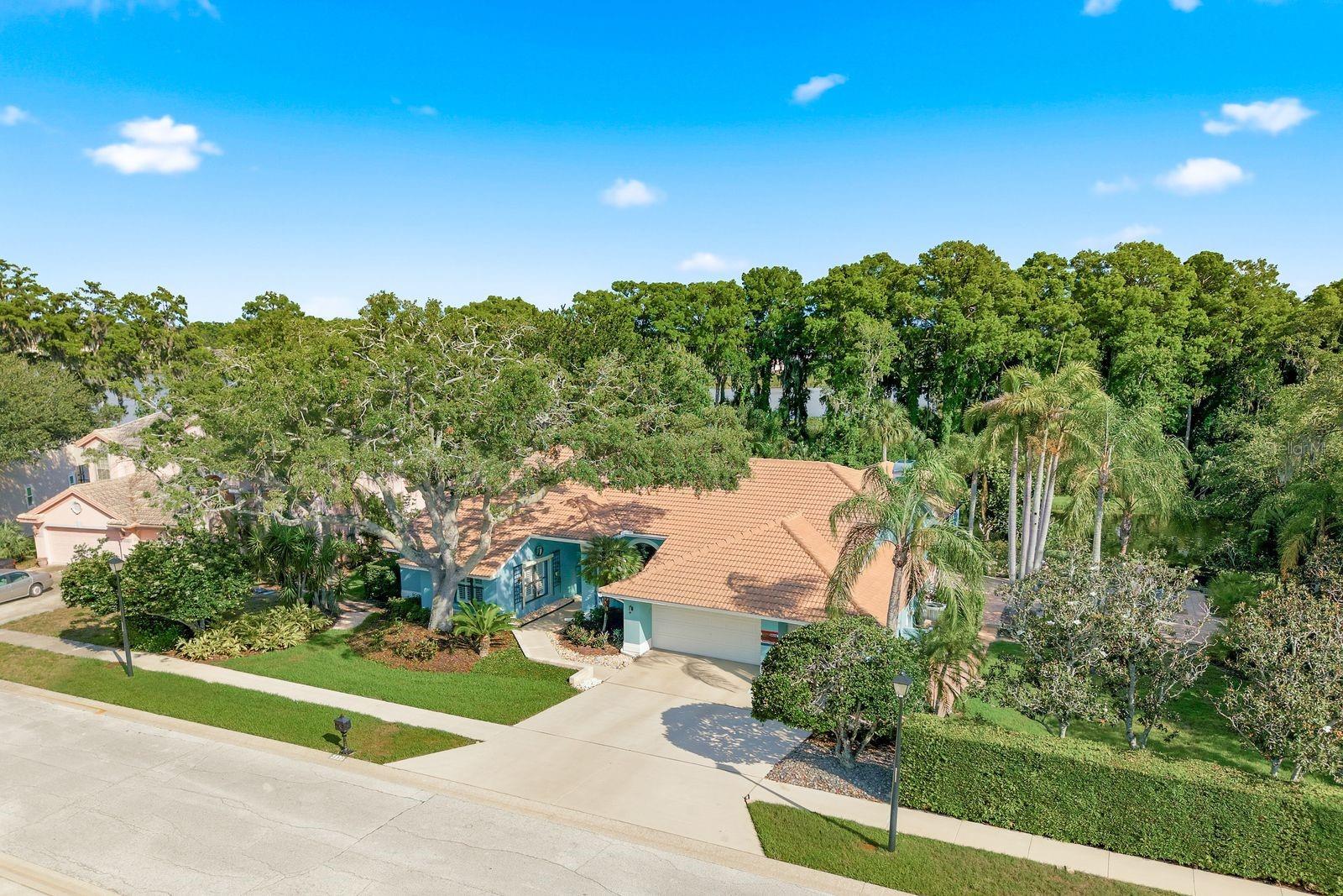 3930 TARIAN CT, PALM HARBOR, FL, 34684