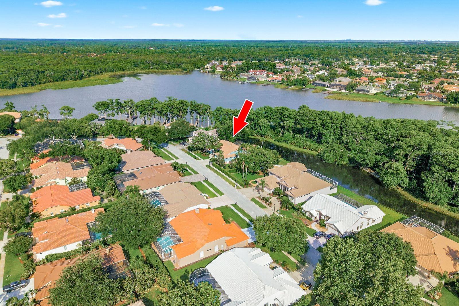 3930 TARIAN CT, PALM HARBOR, FL, 34684