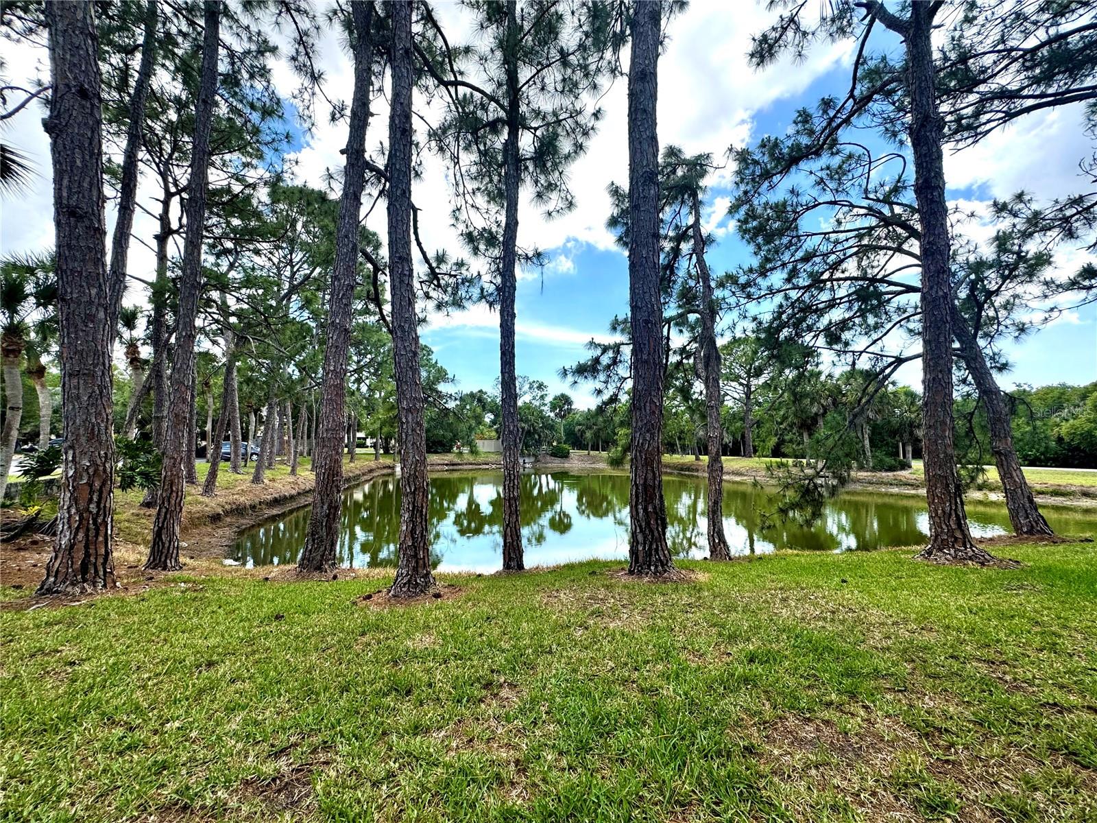 4377 LONGMEADOW #7, SARASOTA, FL, 34235