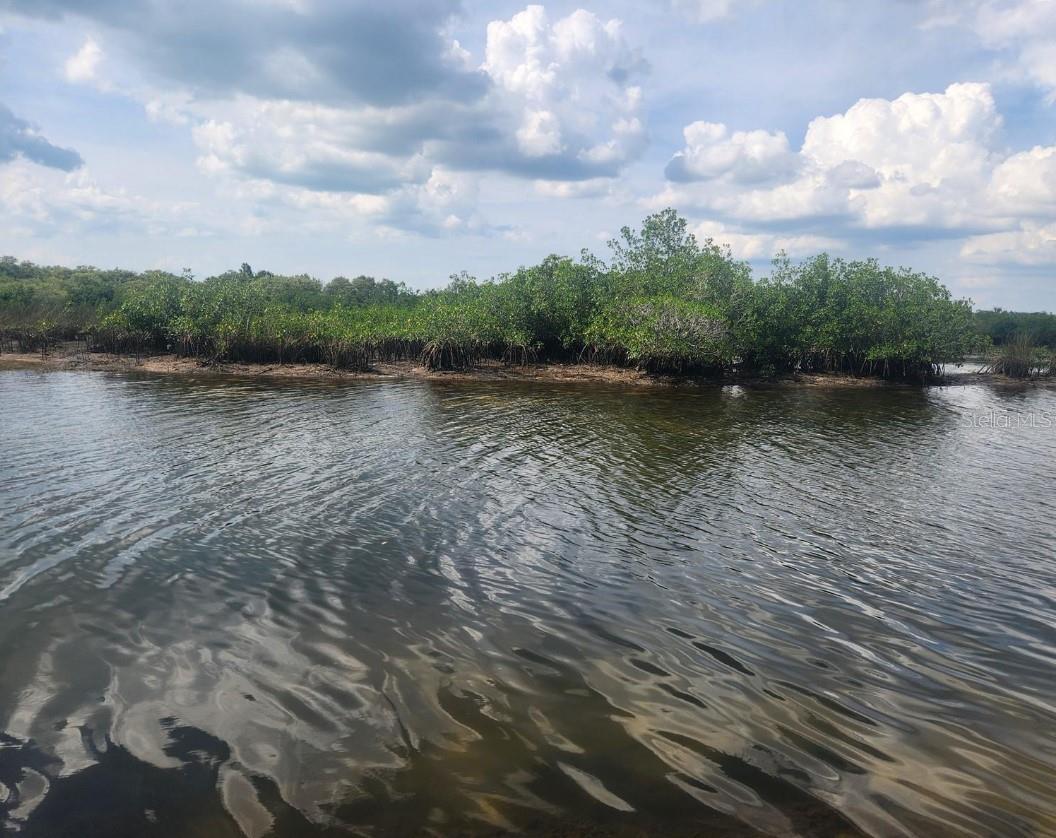 6733 DRIFTWOOD DR, HUDSON, FL, 34667