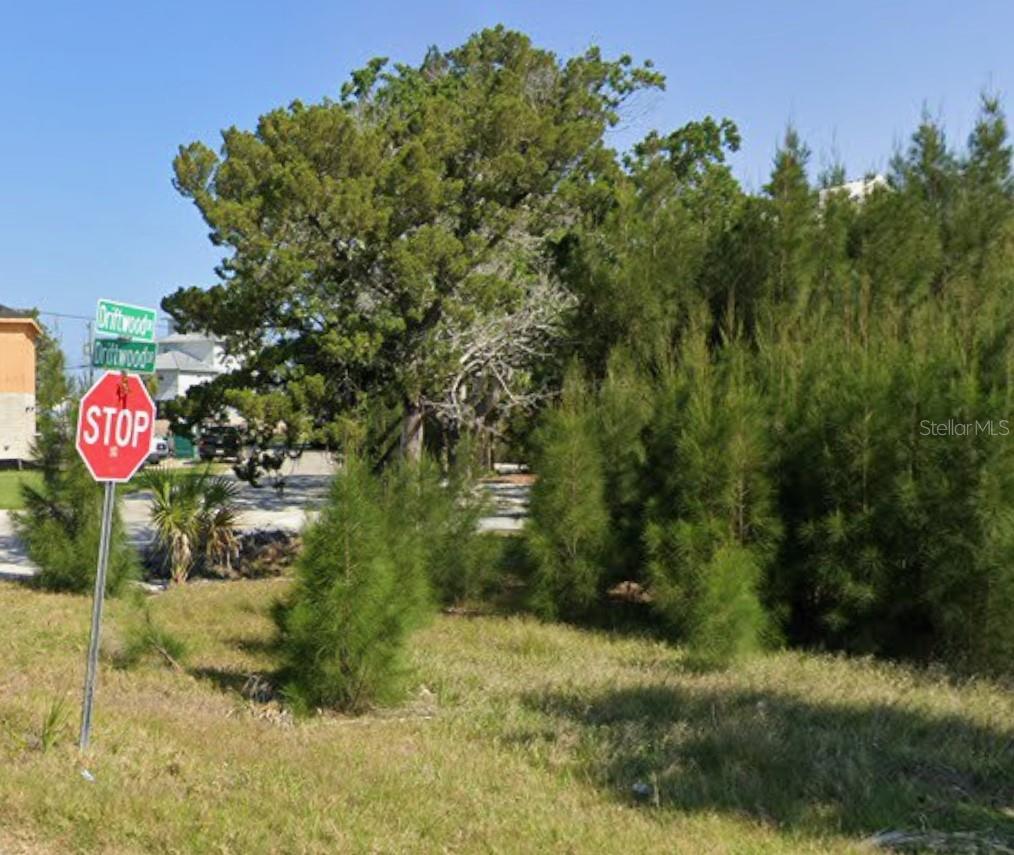 6733 DRIFTWOOD DR, HUDSON, FL, 34667