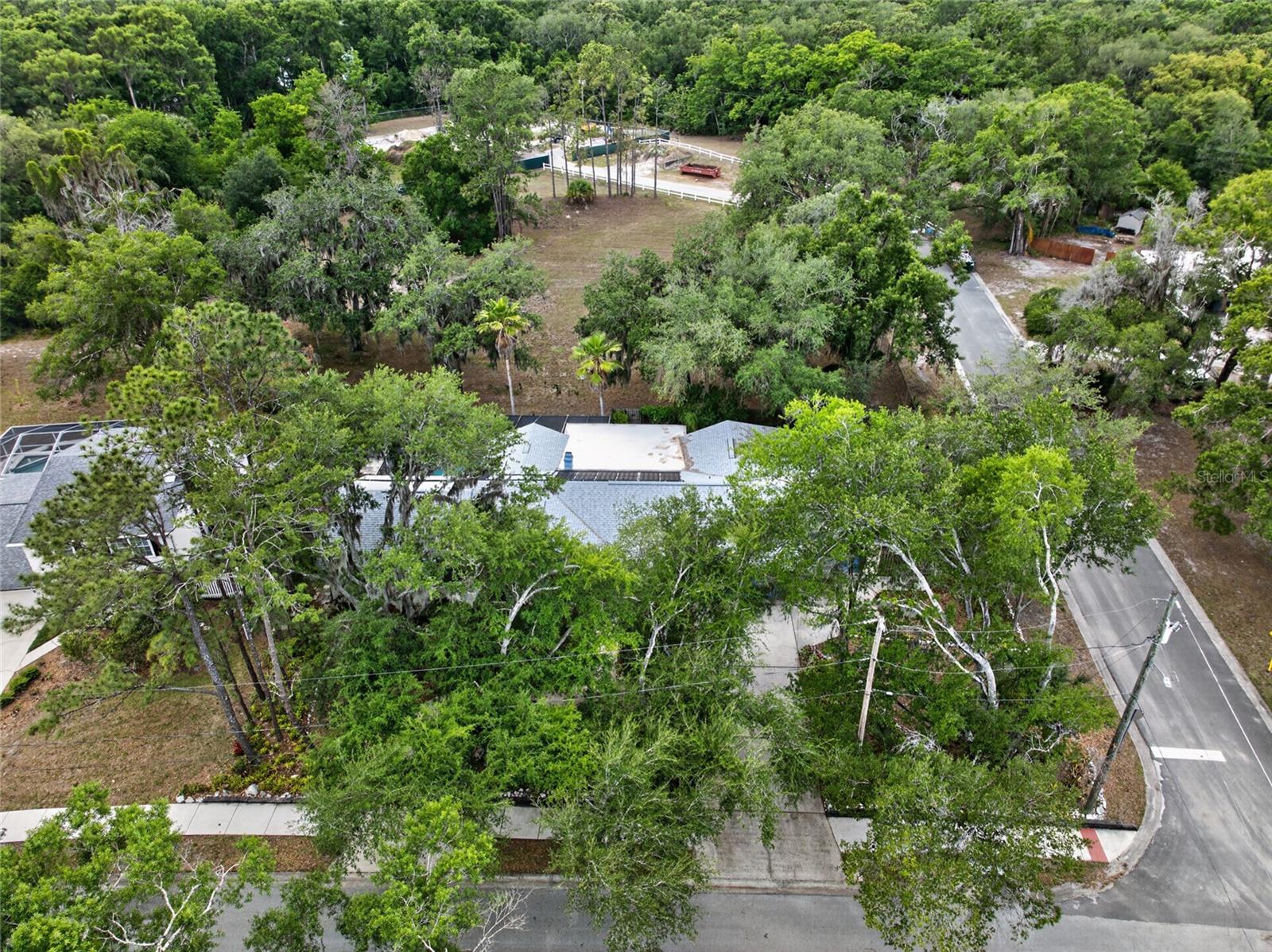 901 W RIVER DR, TEMPLE TERRACE, FL, 33617