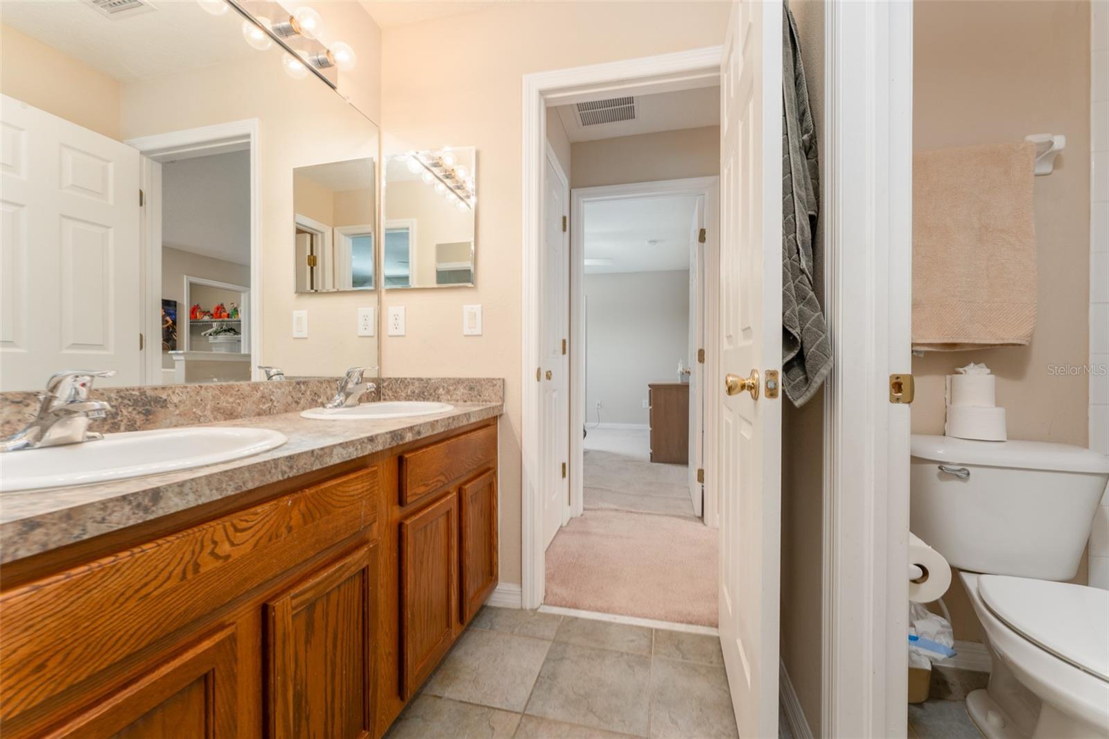 6302 BRIDGEVISTA DR, LITHIA, FL, 33547