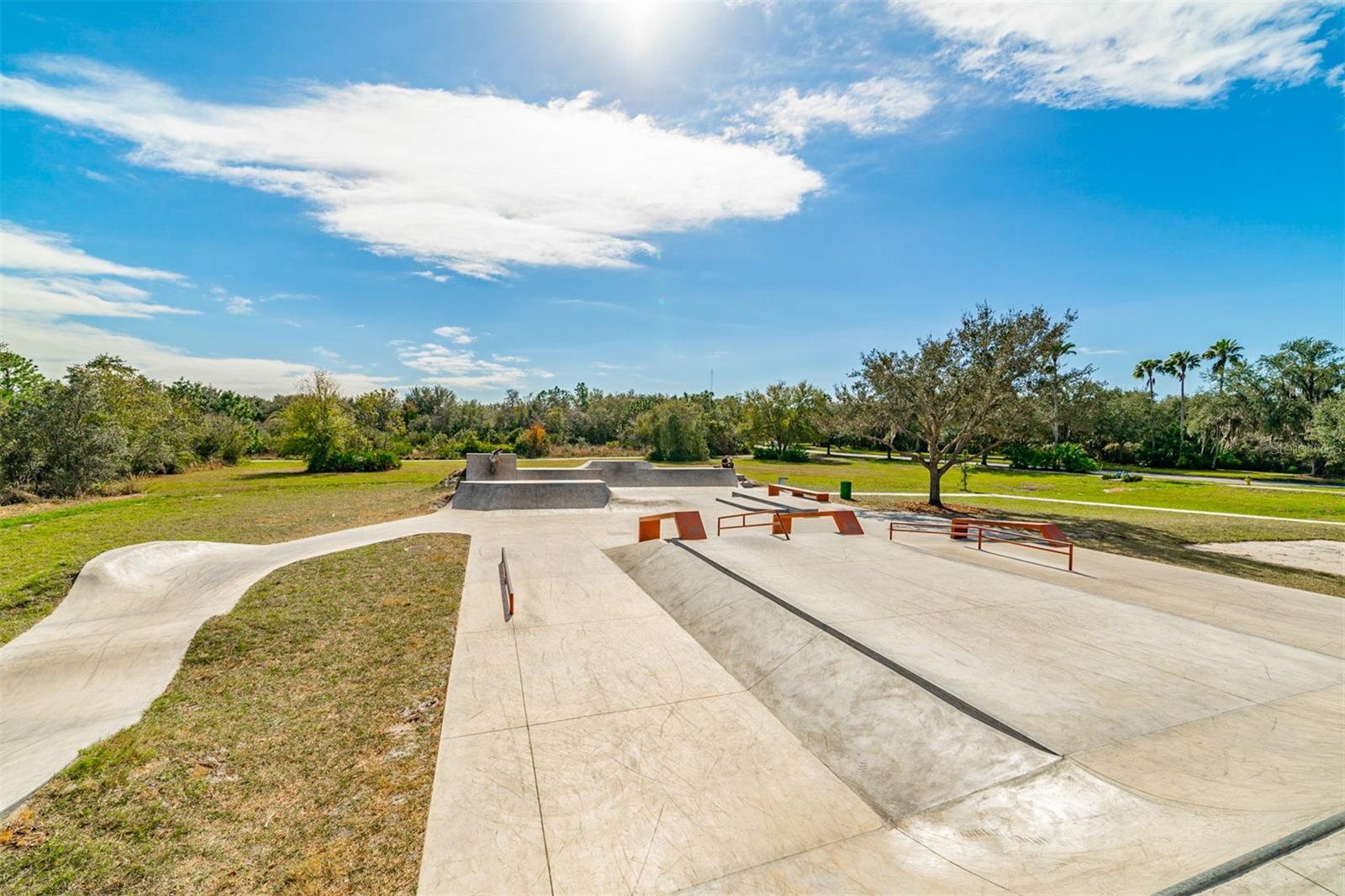 6302 BRIDGEVISTA DR, LITHIA, FL, 33547