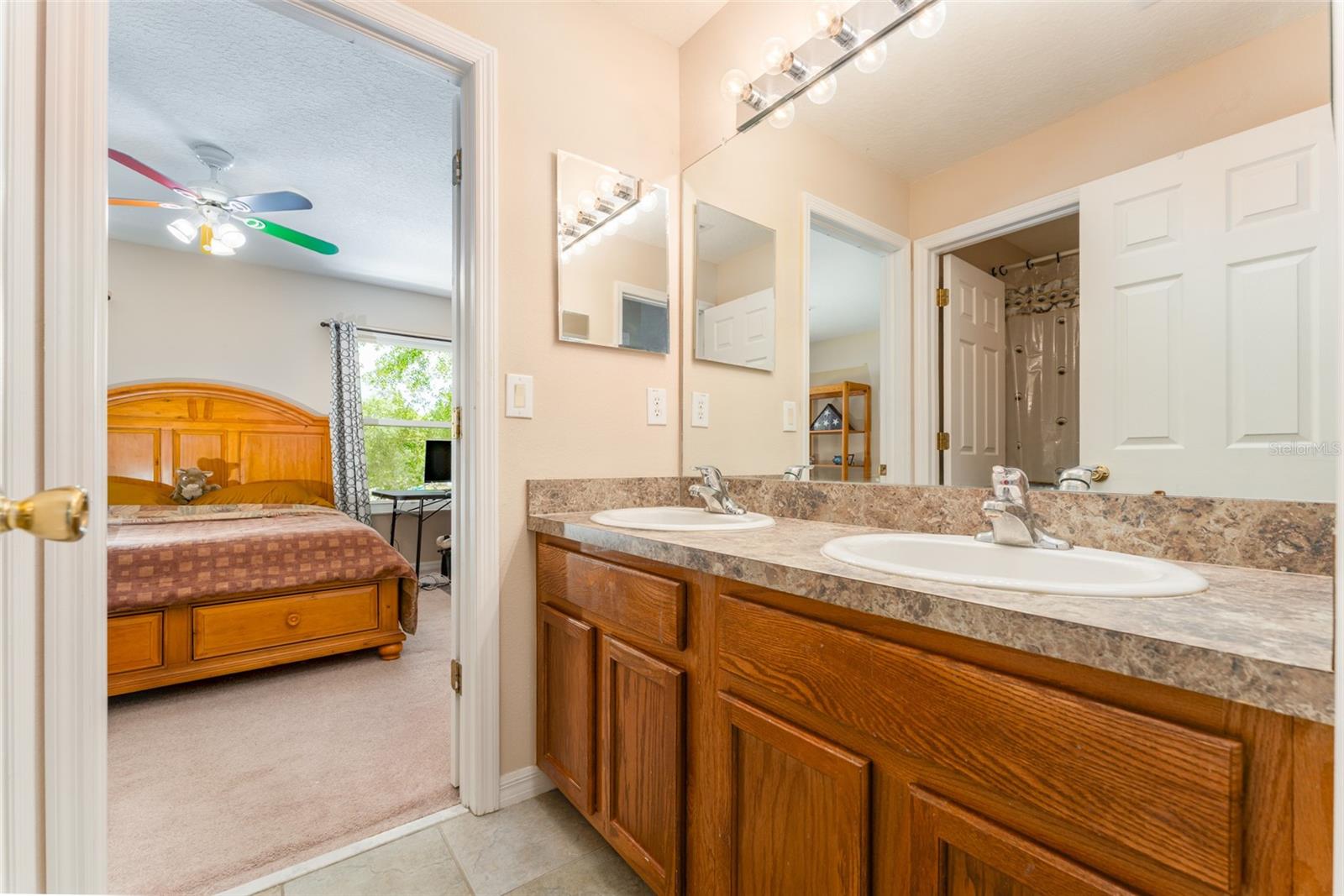 6302 BRIDGEVISTA DR, LITHIA, FL, 33547