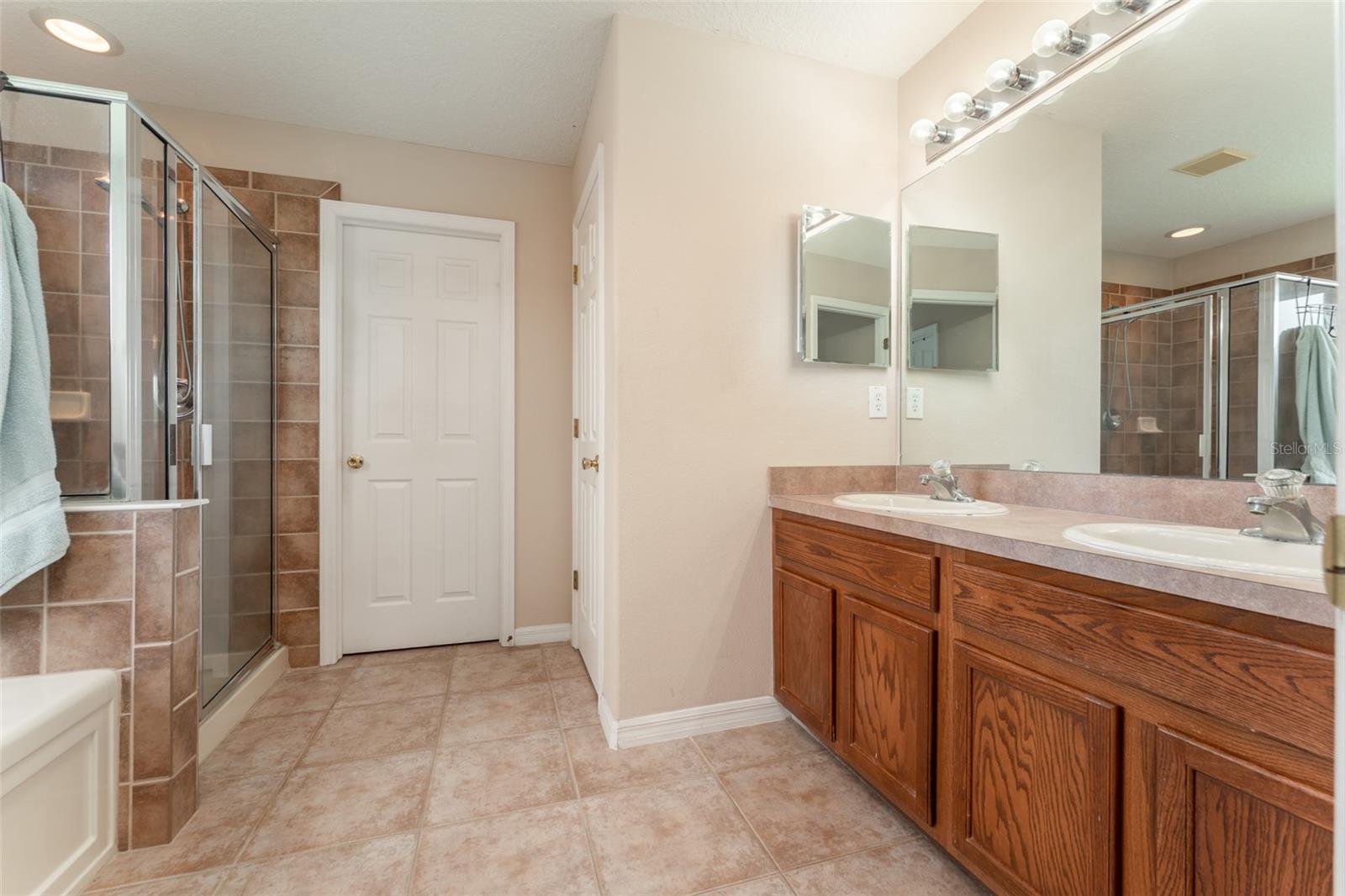 6302 BRIDGEVISTA DR, LITHIA, FL, 33547