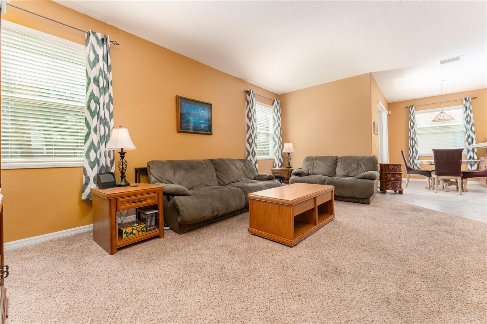 6302 BRIDGEVISTA DR, LITHIA, FL, 33547