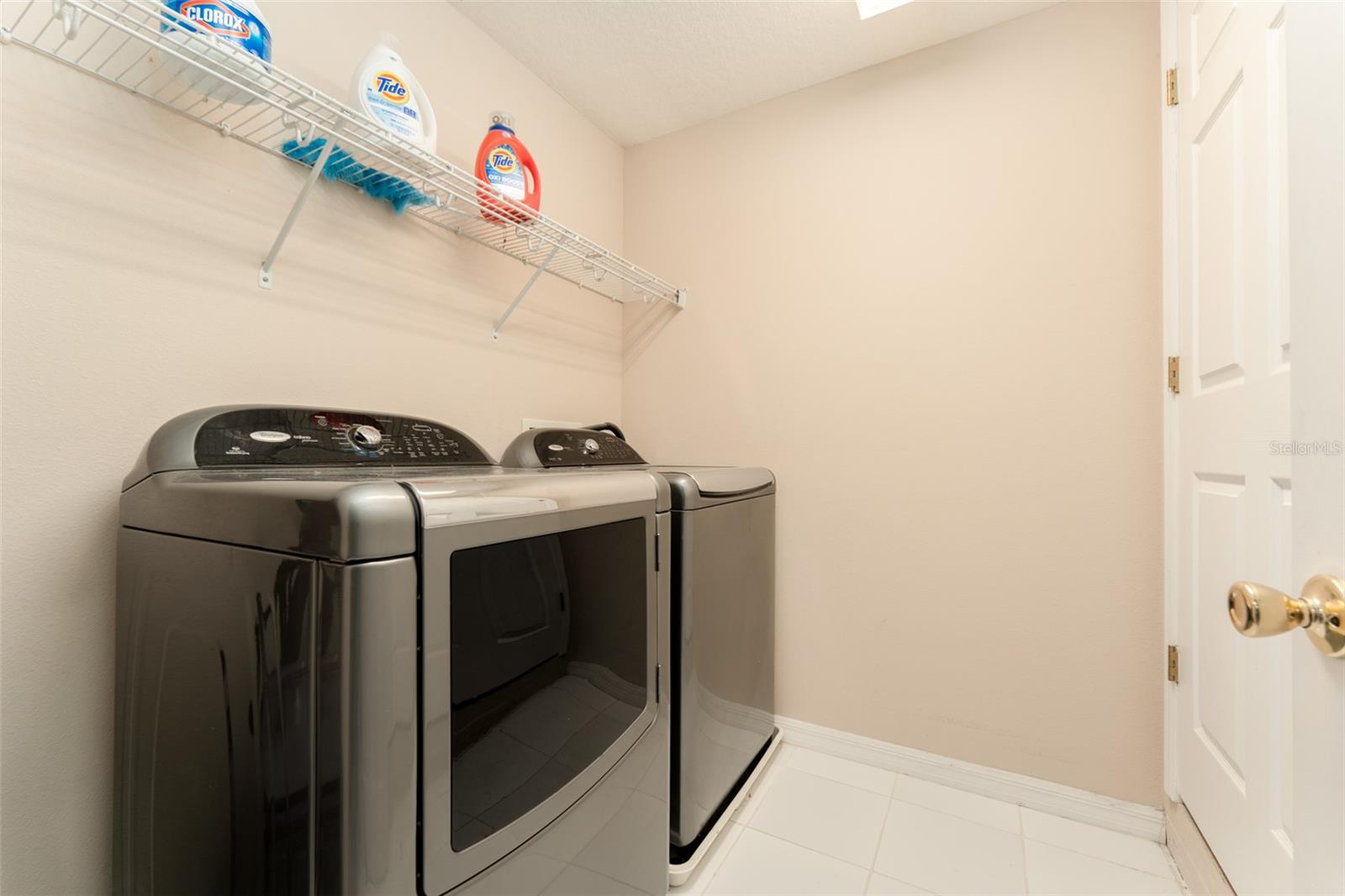 6302 BRIDGEVISTA DR, LITHIA, FL, 33547