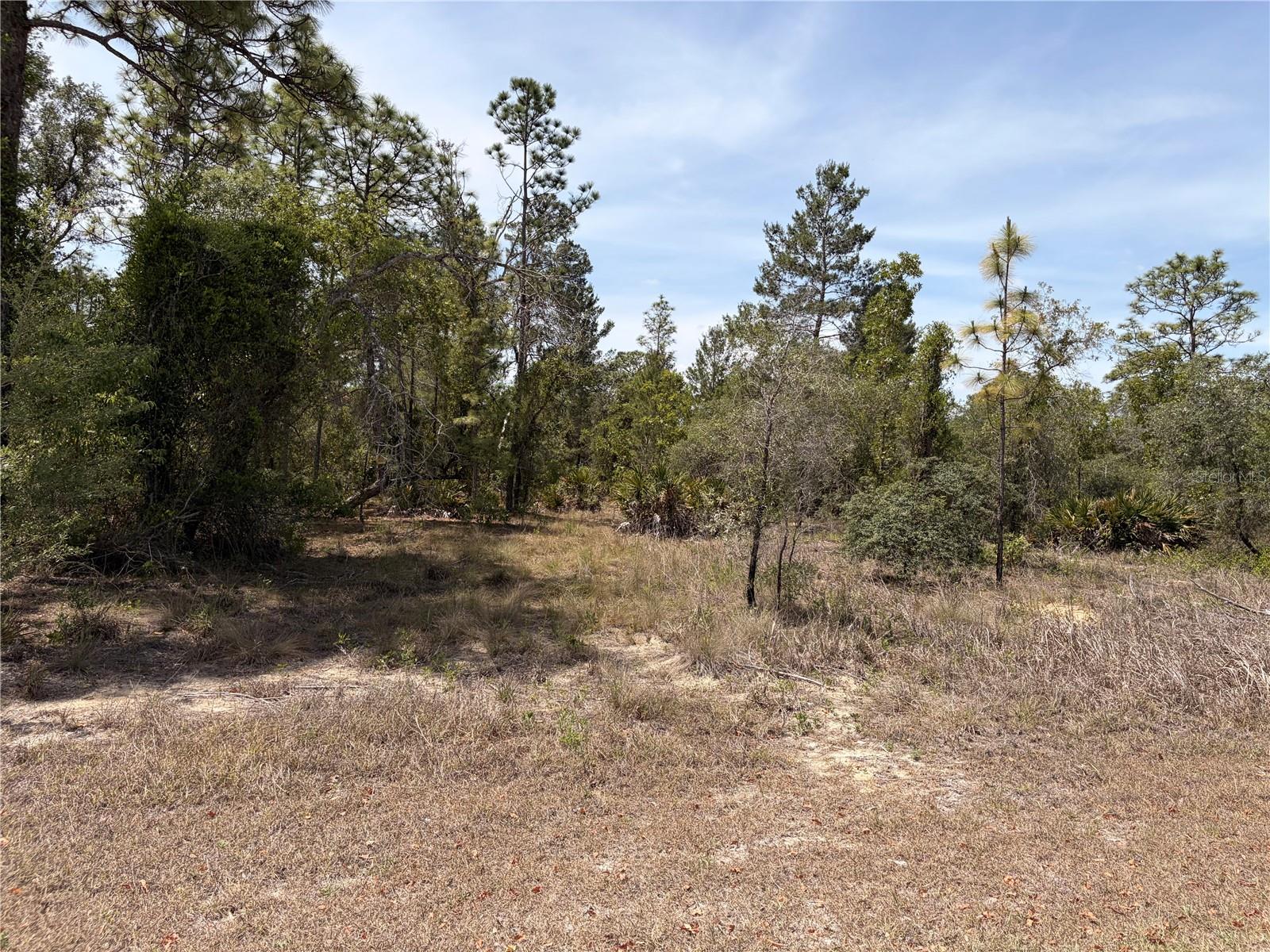 13230 TAFT ST, BROOKSVILLE, FL, 34613
