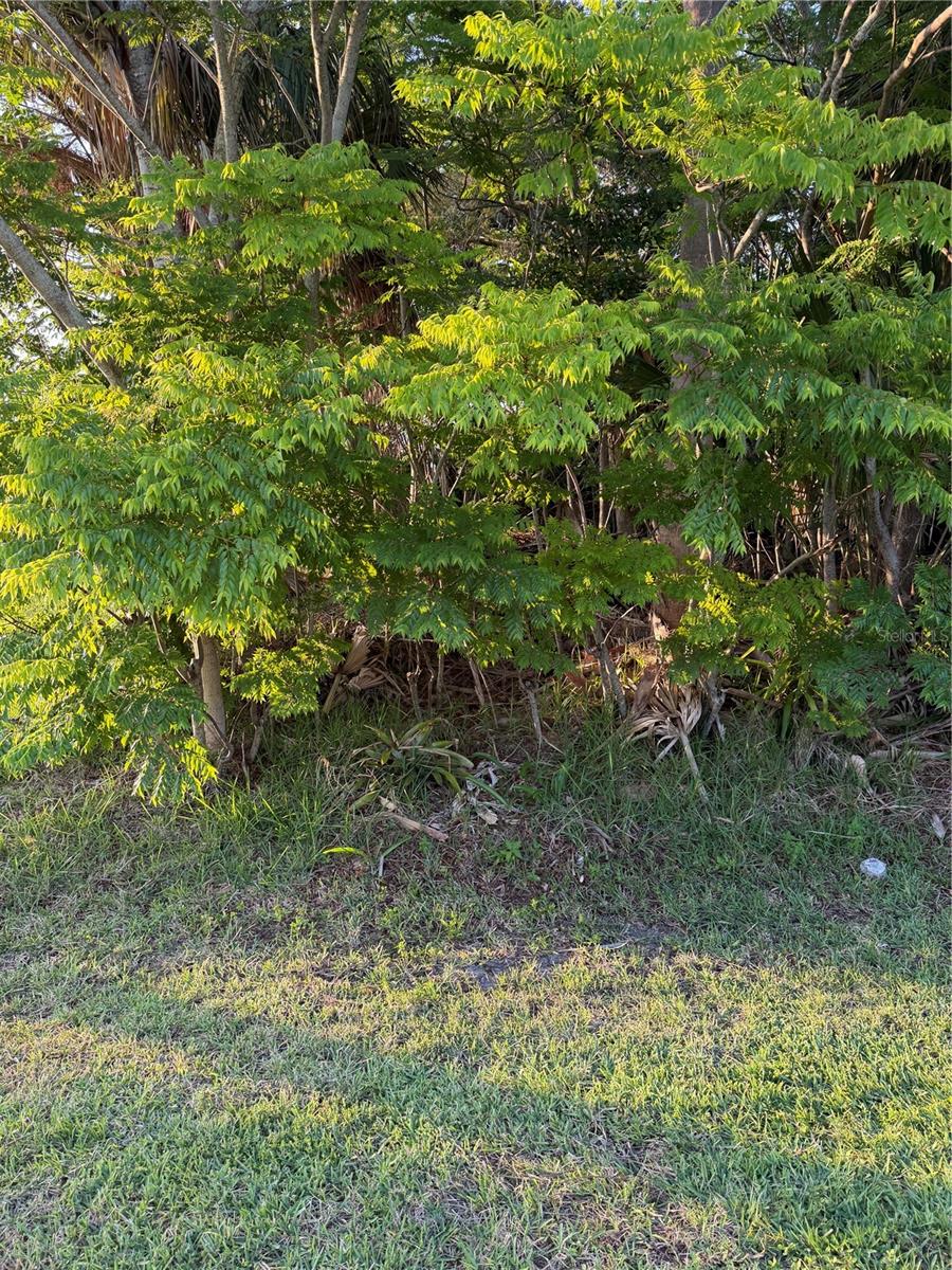 3 LARGO, PALM COAST, FL, 32137