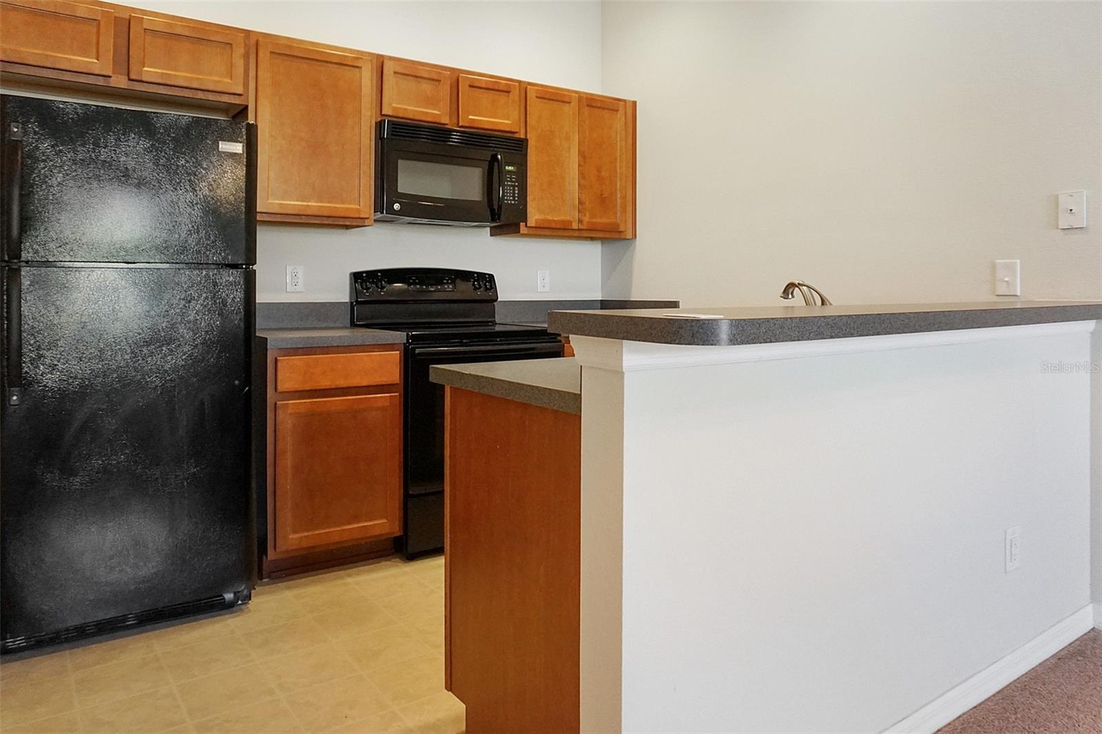 1764 CORIANDER DR, KISSIMMEE, FL, 34759