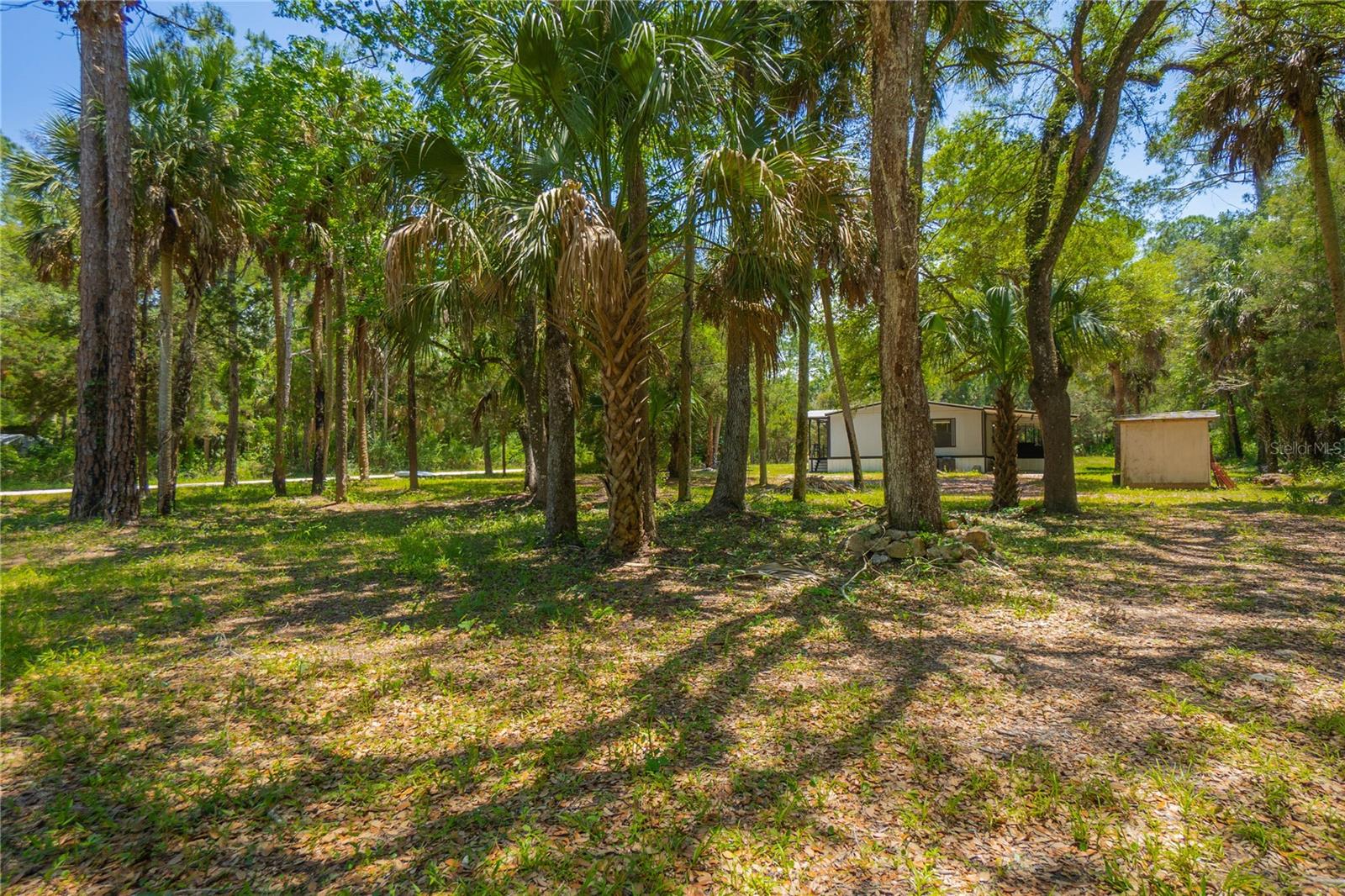 6550 SE DEBRA AVE, INGLIS, FL, 34449