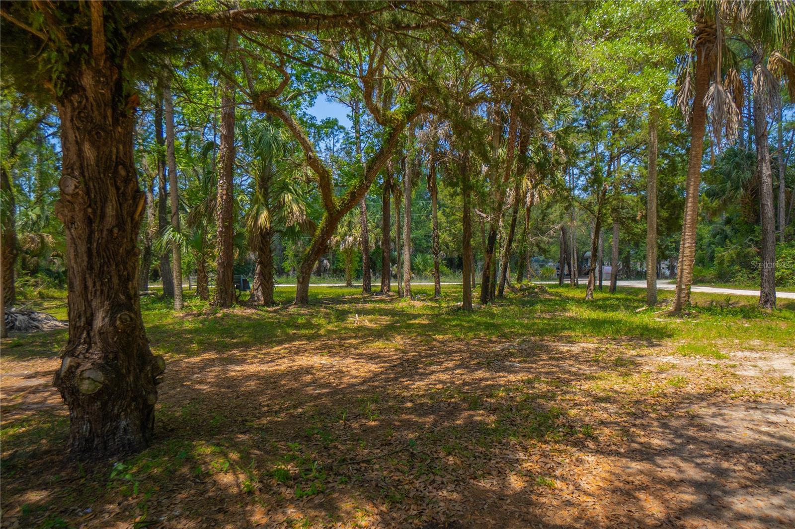 6550 SE DEBRA AVE, INGLIS, FL, 34449