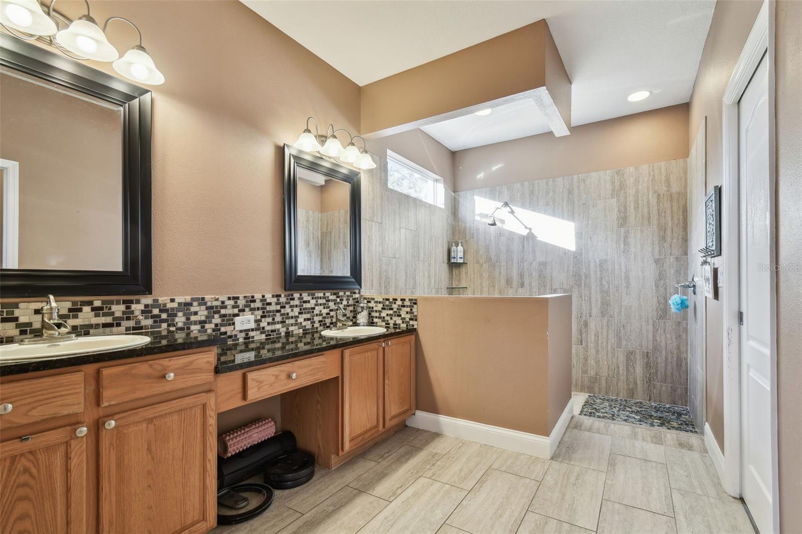 18034 LAKE REFLECTIONS BLVD, LUTZ, FL, 33558