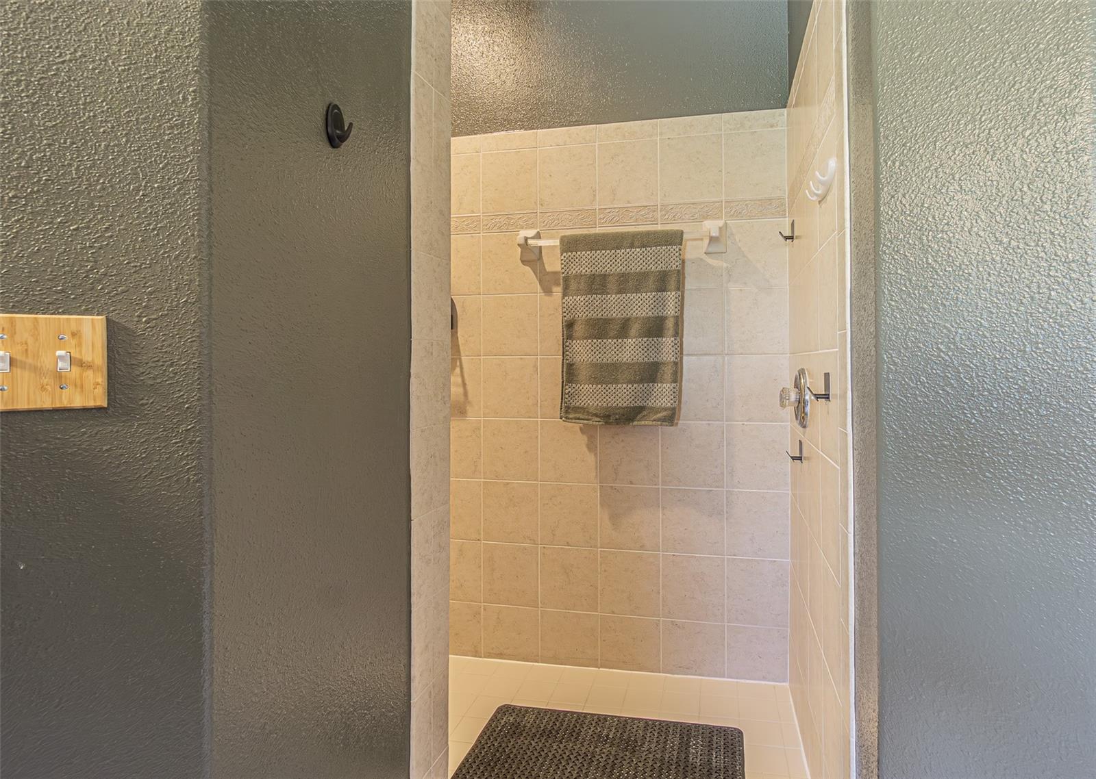 29324 COHARIE LOOP, SAN ANTONIO, FL, 33576
