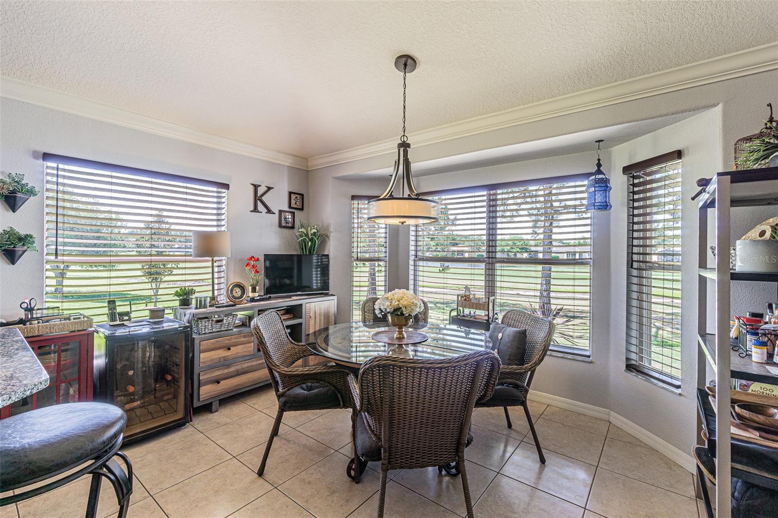 29324 COHARIE LOOP, SAN ANTONIO, FL, 33576
