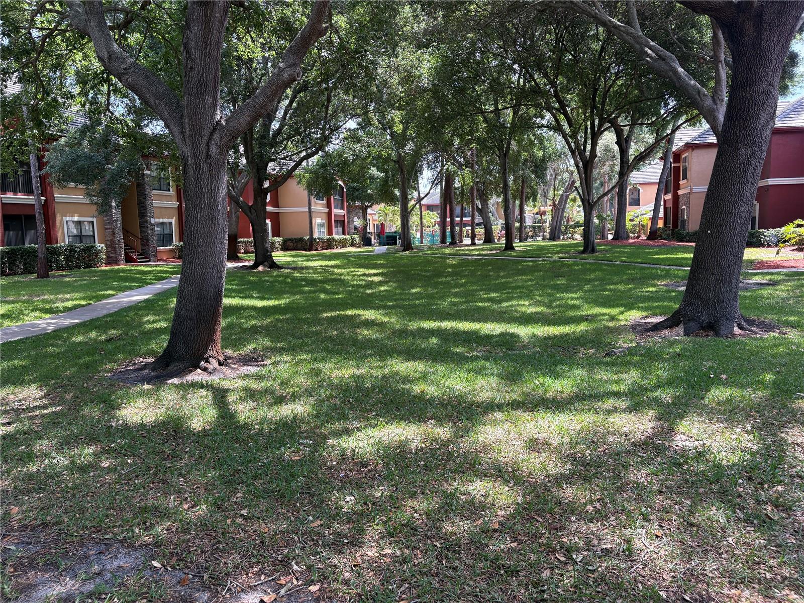 2151 CHIANTI PL #127, PALM HARBOR, FL, 34683