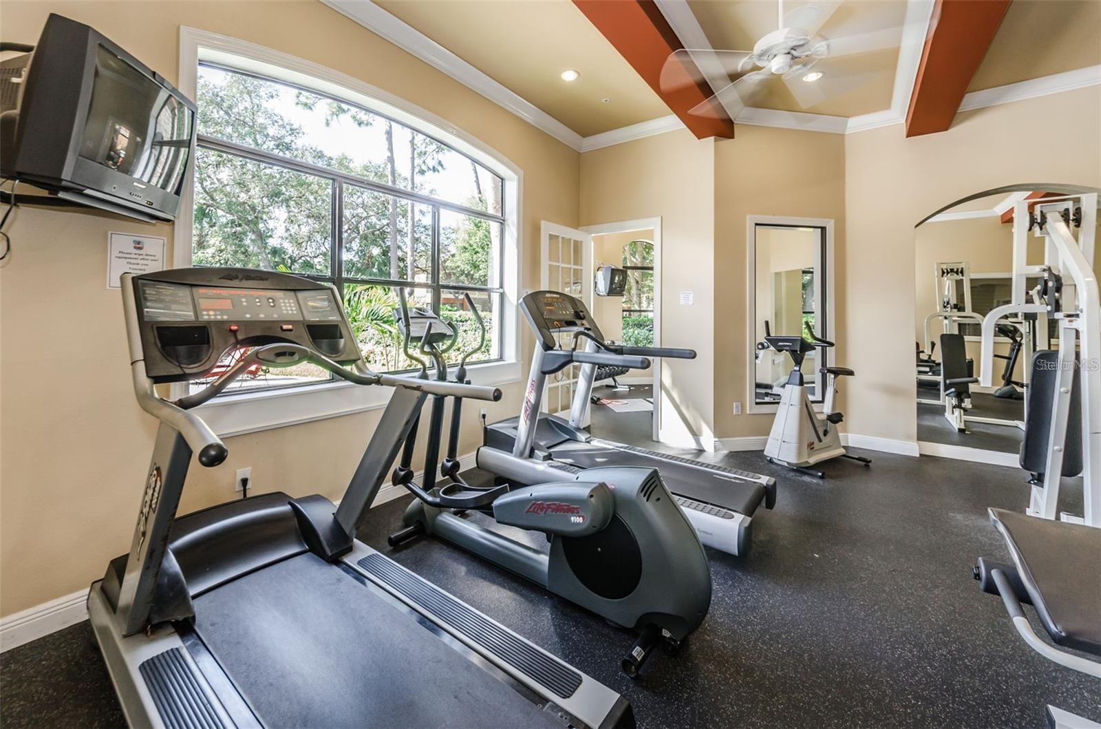 2151 CHIANTI PL #127, PALM HARBOR, FL, 34683