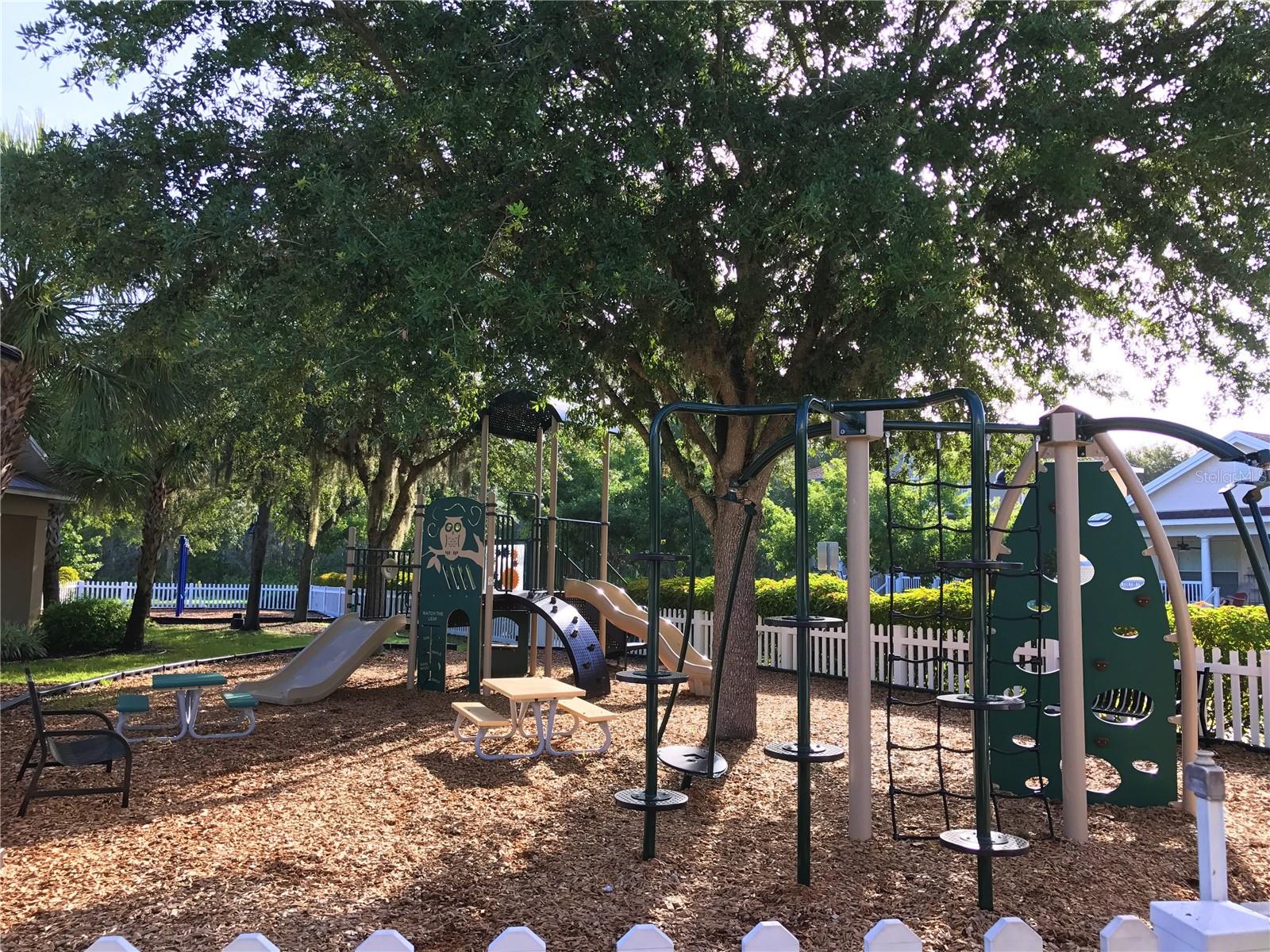 3537 PICKERELL PL, NEW PORT RICHEY, FL, 34655