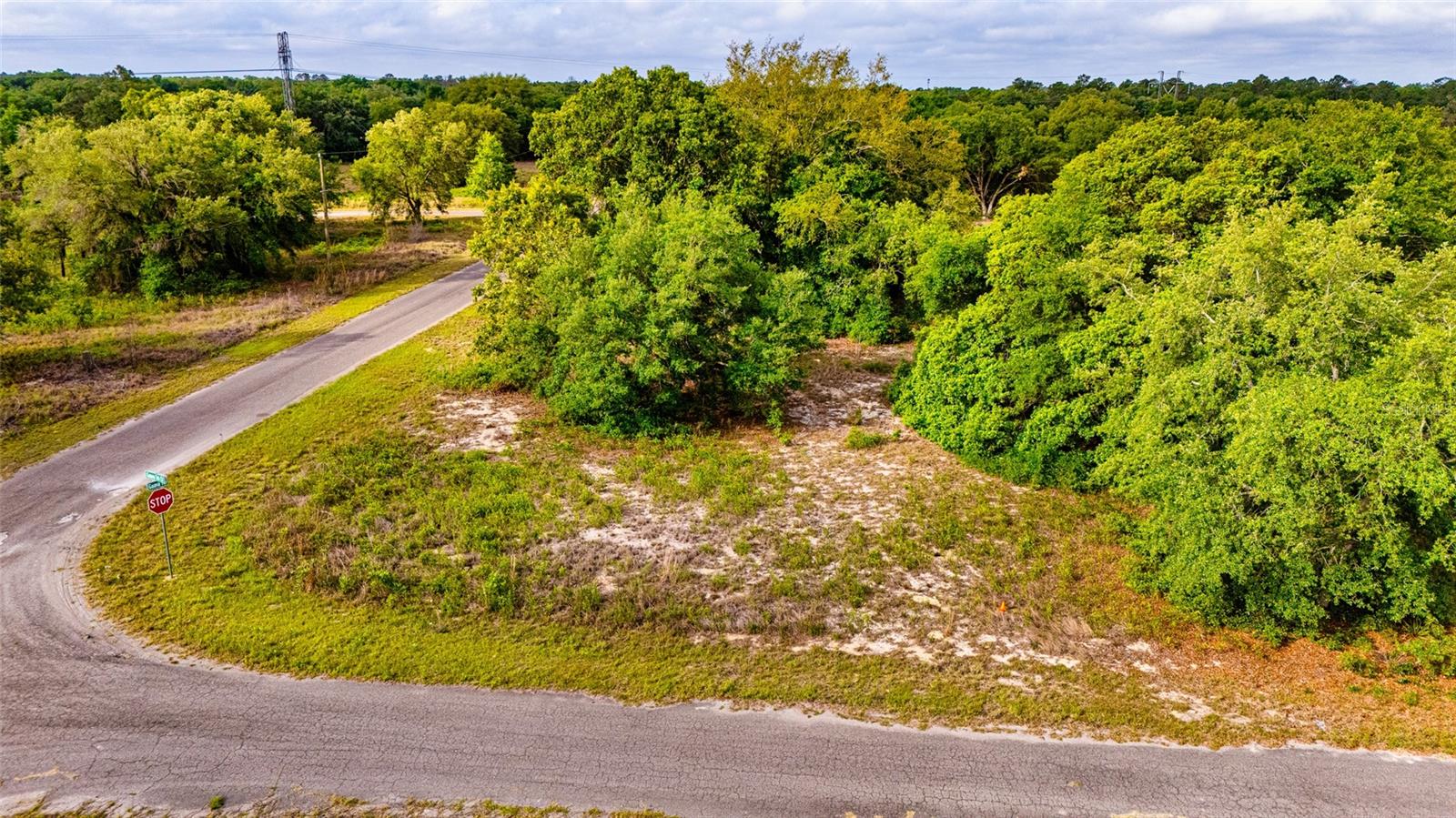 GUAVA TER, OCKLAWAHA, FL, 32179