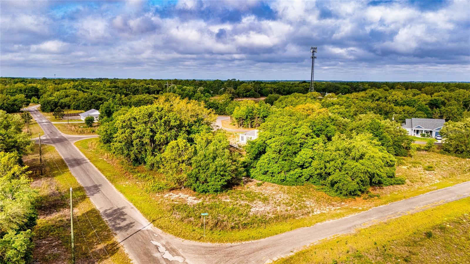 GUAVA TER, OCKLAWAHA, FL, 32179