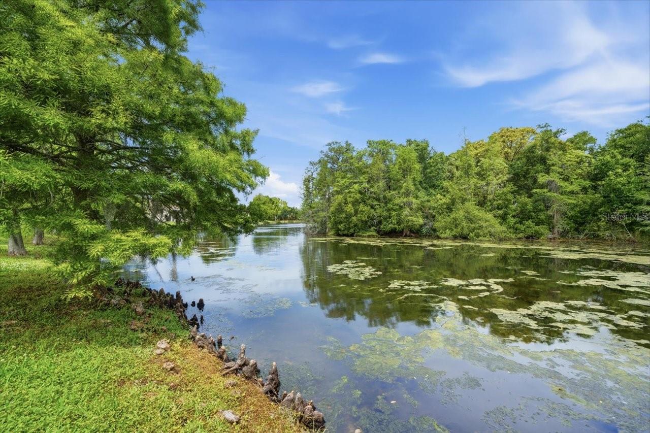 1154 SARAH CT, DUNEDIN, FL, 34698
