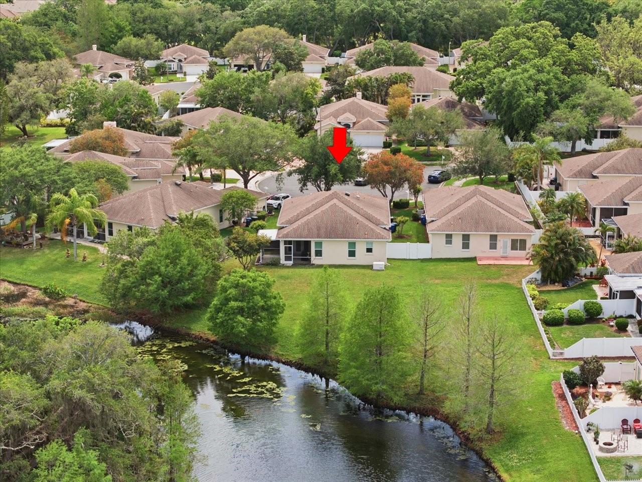 1154 SARAH CT, DUNEDIN, FL, 34698