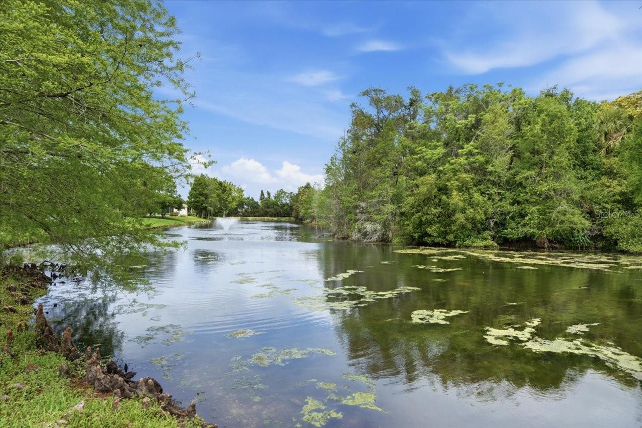 1154 SARAH CT, DUNEDIN, FL, 34698