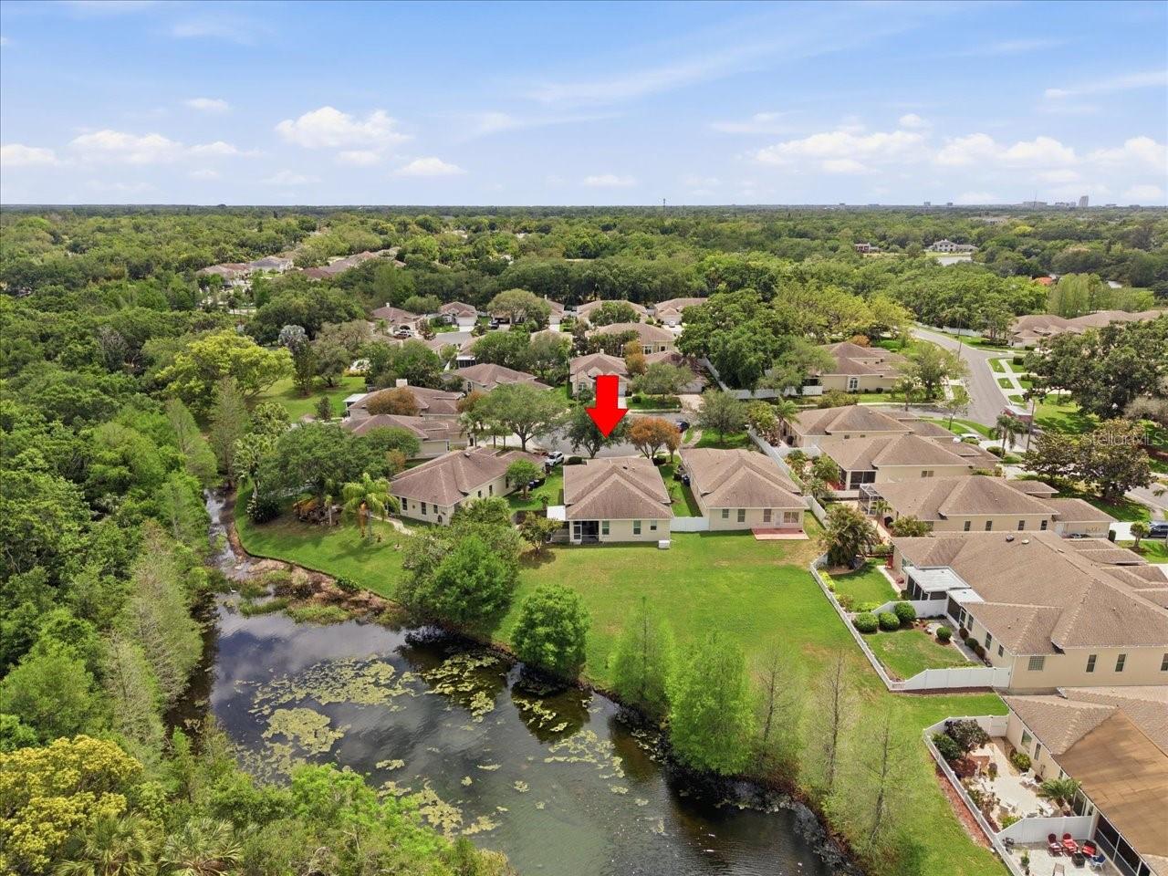 1154 SARAH CT, DUNEDIN, FL, 34698