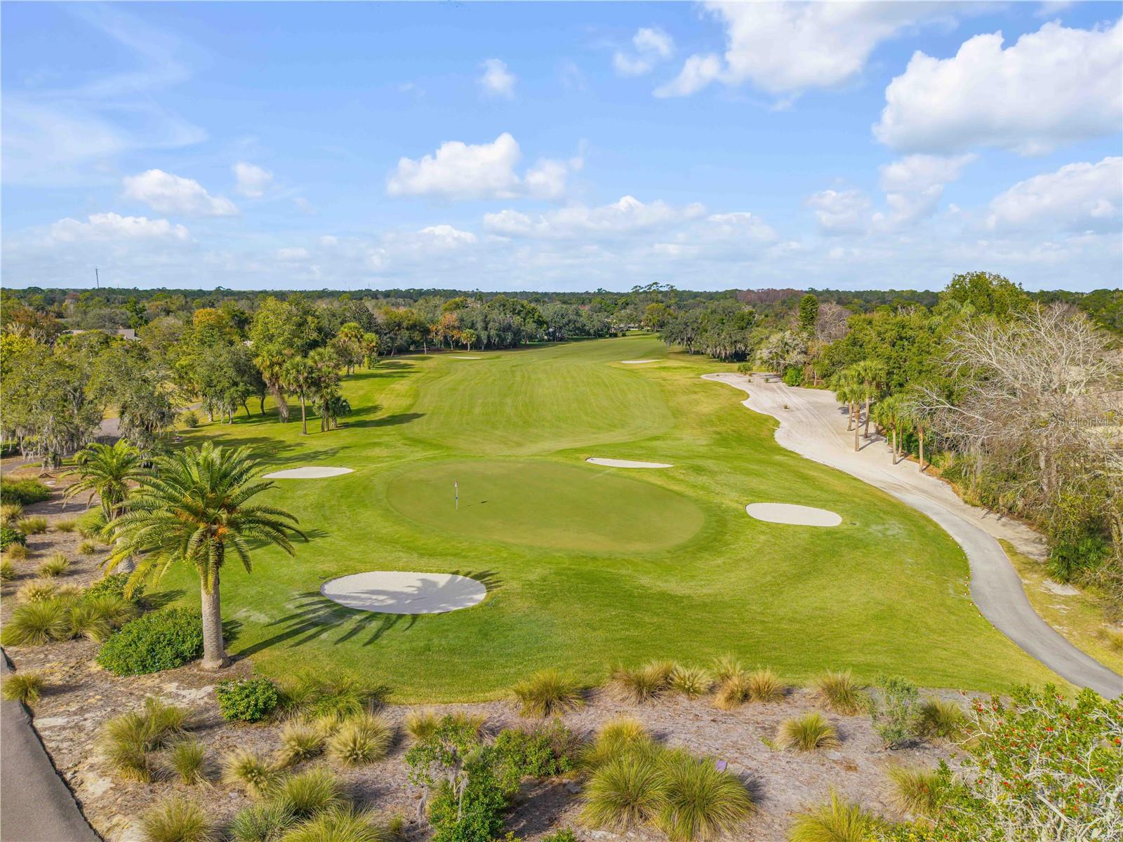 315 EAGLES EYE CT, NEW SMYRNA BEACH, FL, 32168