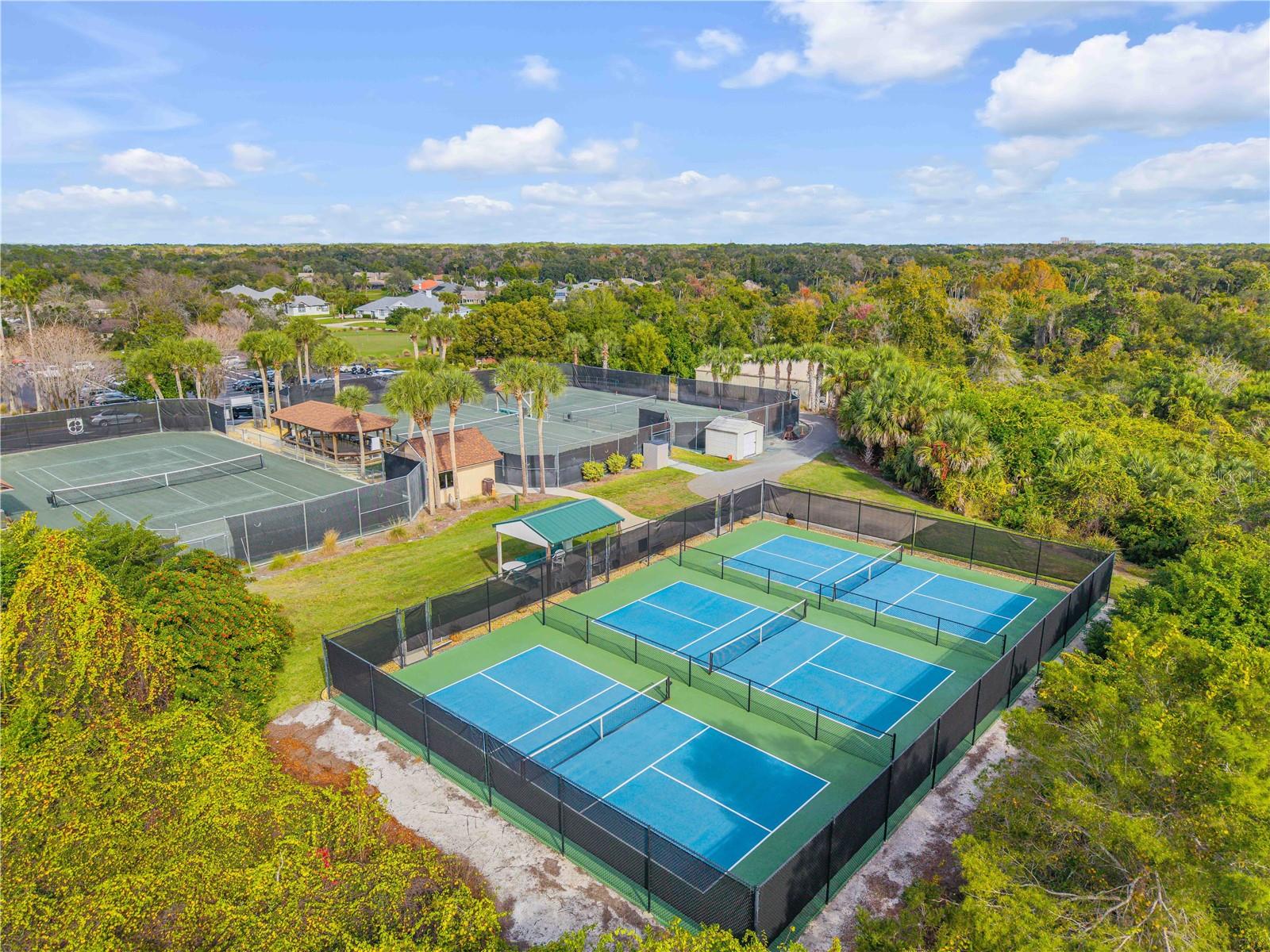 315 EAGLES EYE CT, NEW SMYRNA BEACH, FL, 32168