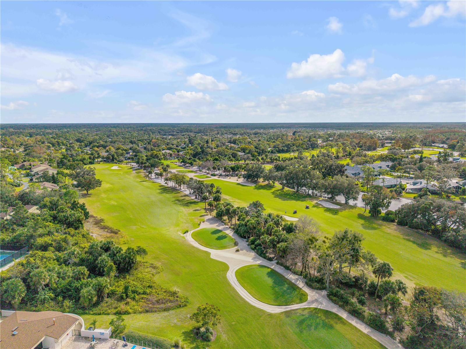 315 EAGLES EYE CT, NEW SMYRNA BEACH, FL, 32168