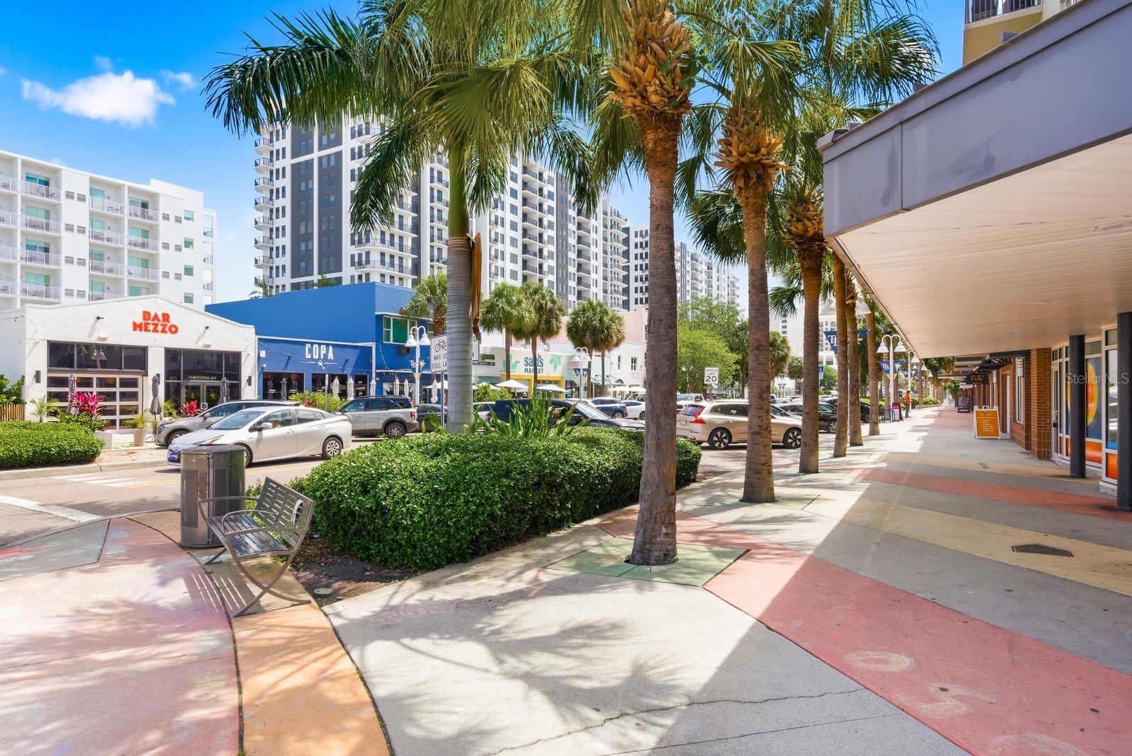 1010 CENTRAL AVE #436, ST PETERSBURG, FL, 33705