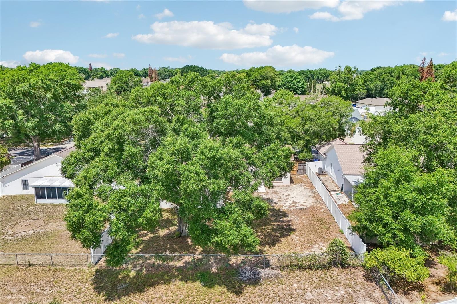 2596 ALCLOBE CIR, OCOEE, FL, 34761