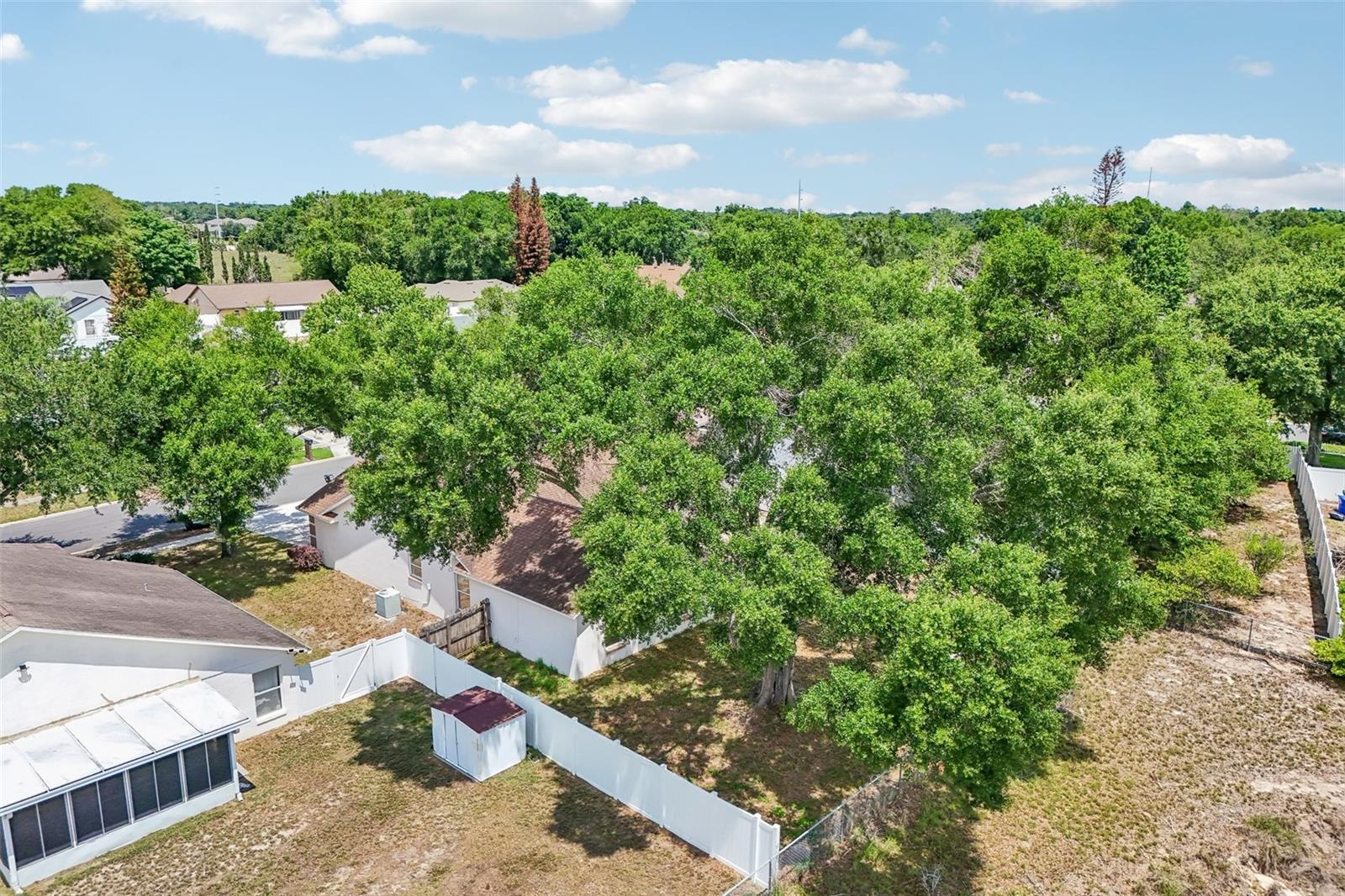 2596 ALCLOBE CIR, OCOEE, FL, 34761