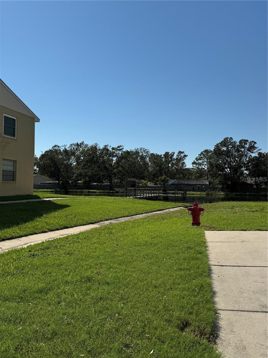 3804 N OAK DR #X21, TAMPA, FL, 33611