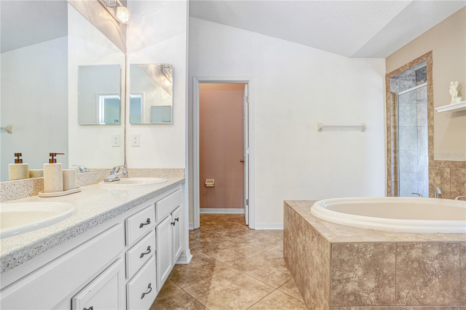 1209 SPOTTED LILAC LN, PLANT CITY, FL, 33563