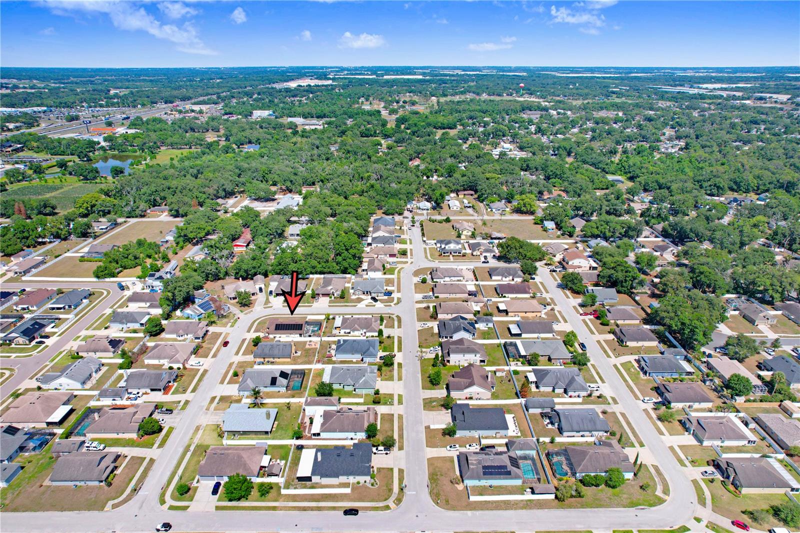1209 SPOTTED LILAC LN, PLANT CITY, FL, 33563