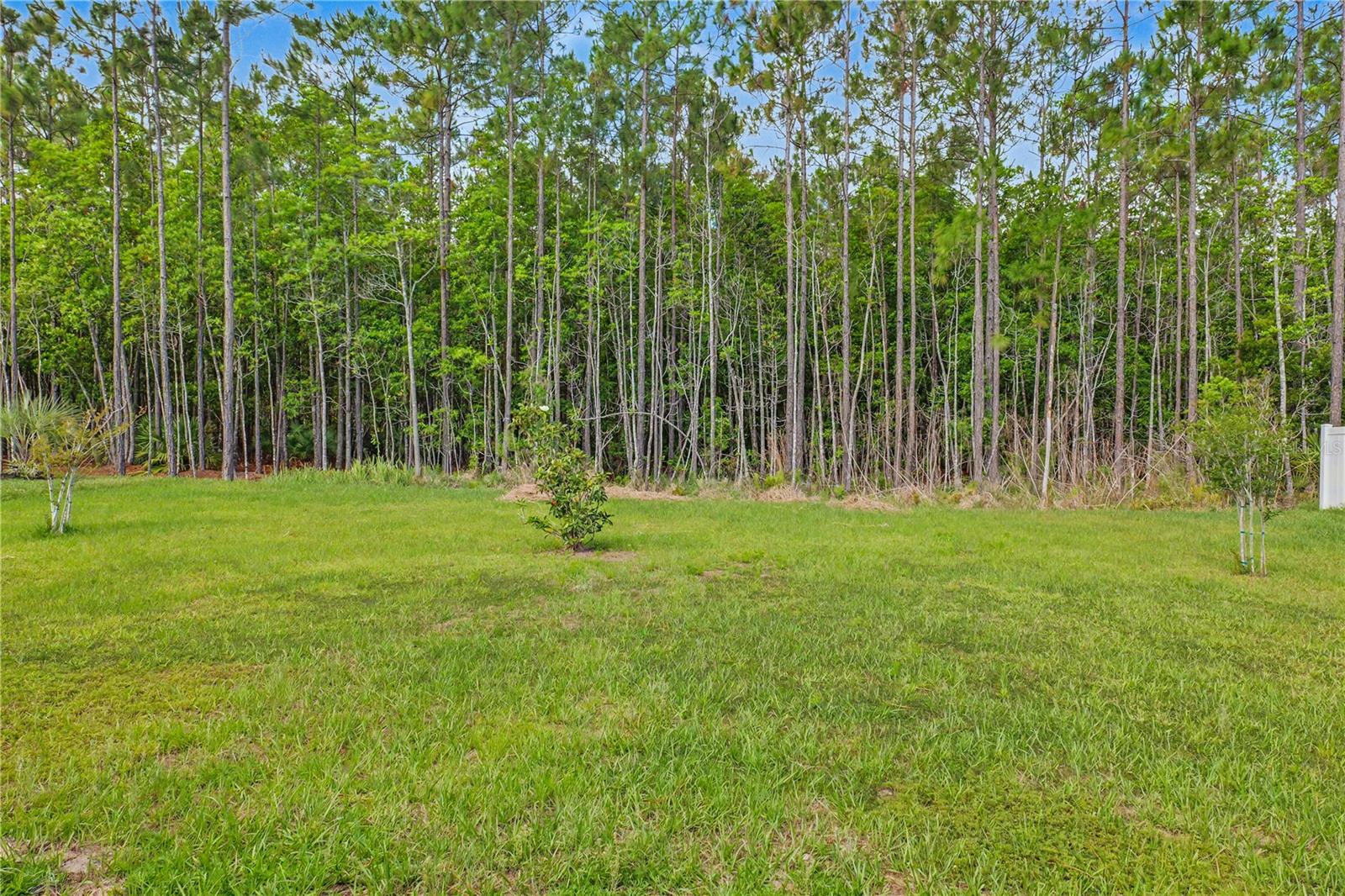 6 ZINNIA CT, PALM COAST, FL, 32164