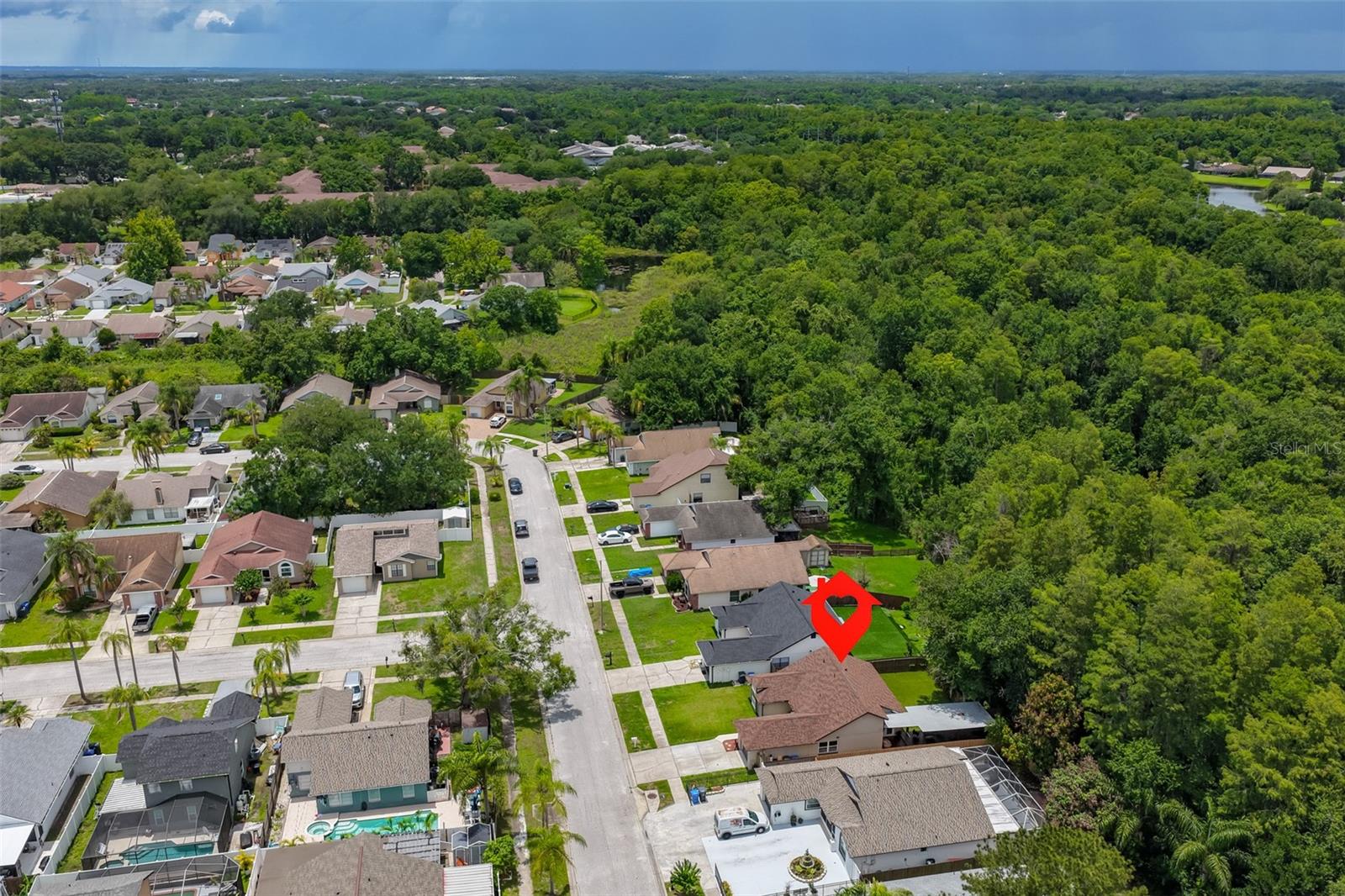 12832 COVERDALE DR, TAMPA, FL, 33624