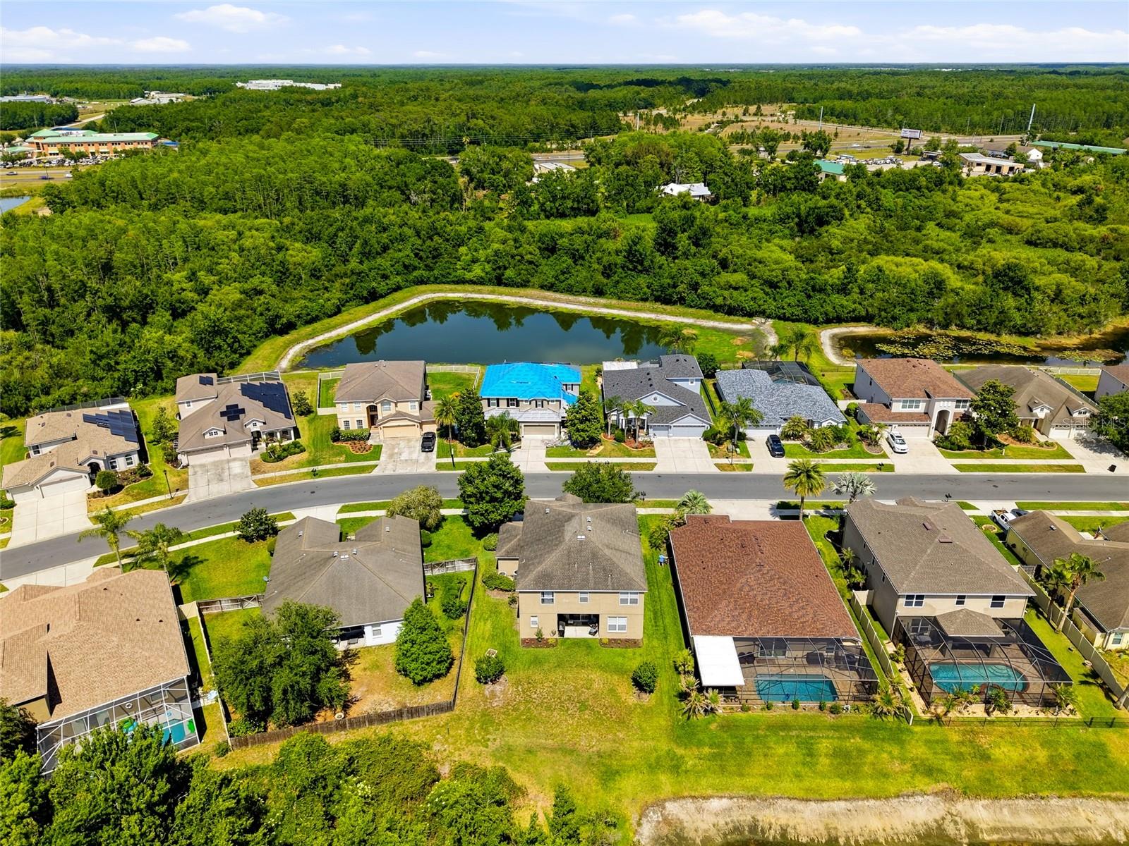 9643 ASBEL ESTATES ST, LAND O LAKES, FL, 34638