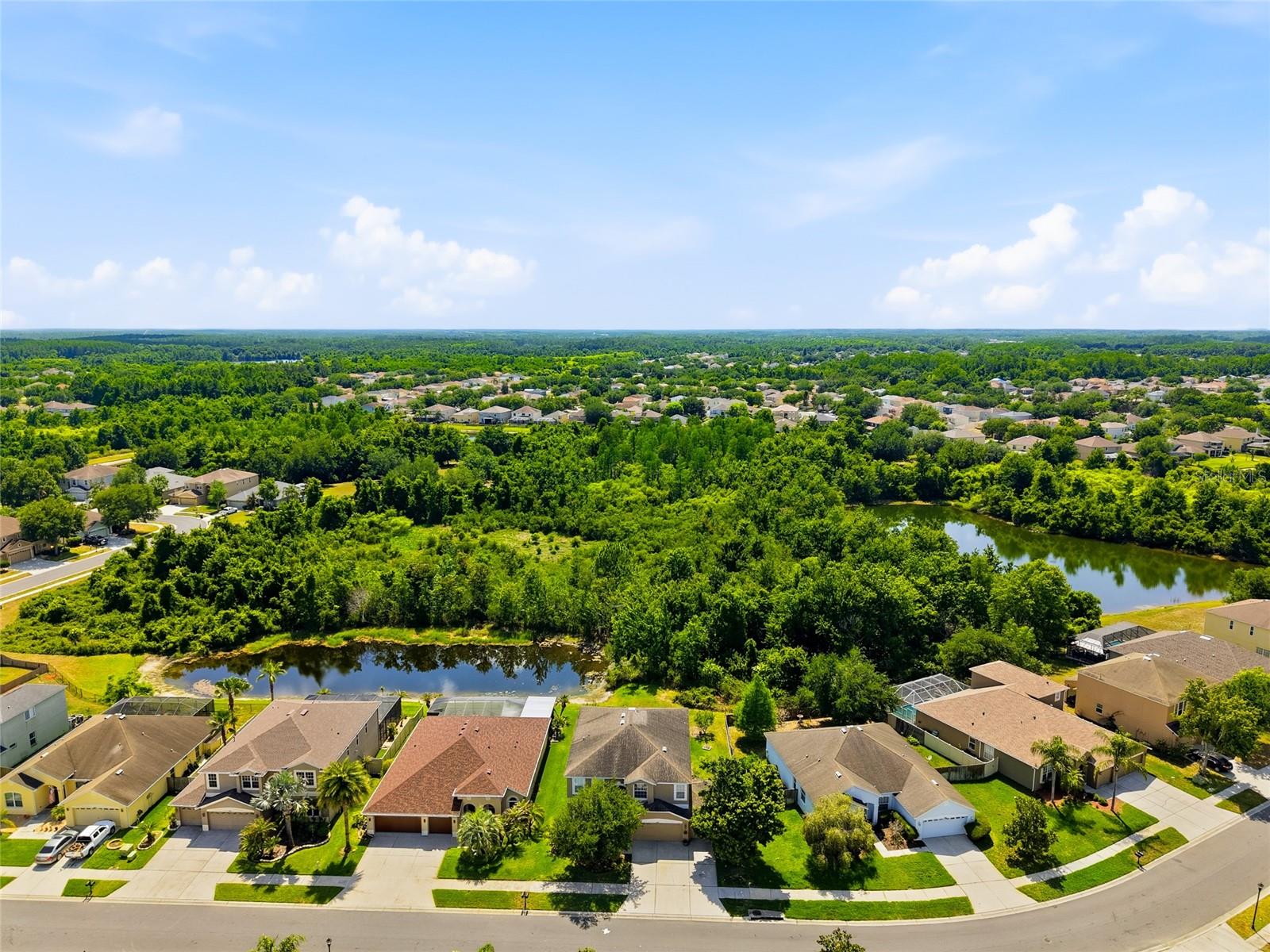 9643 ASBEL ESTATES ST, LAND O LAKES, FL, 34638