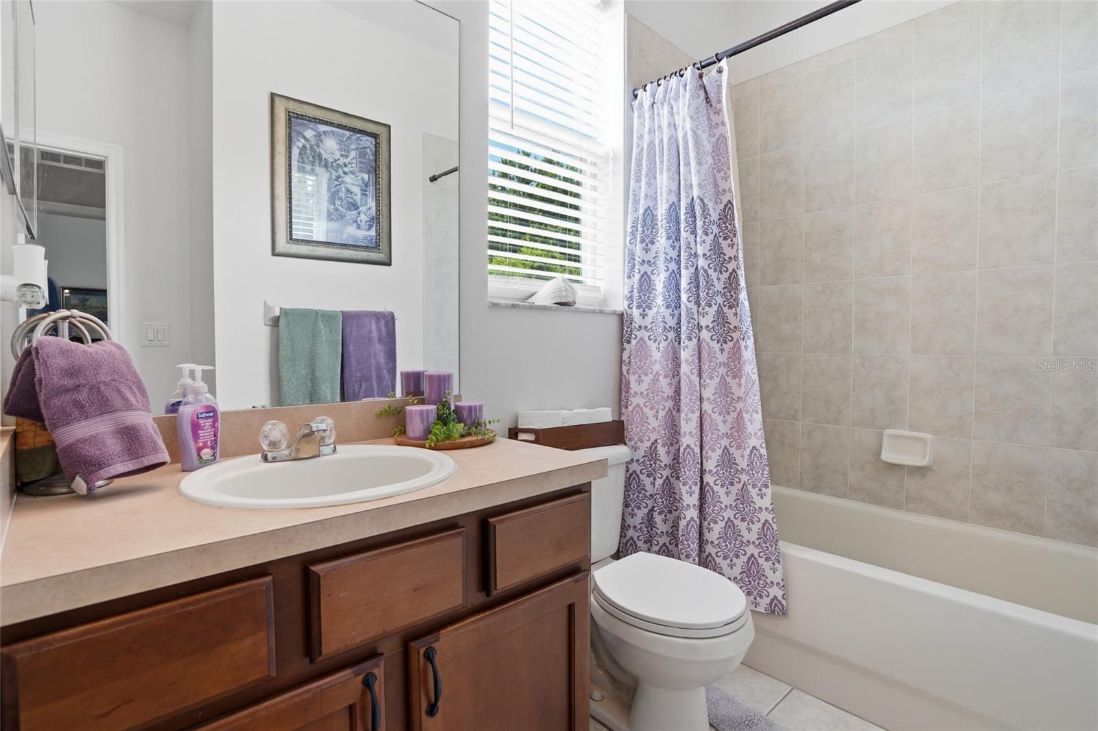 9643 ASBEL ESTATES ST, LAND O LAKES, FL, 34638